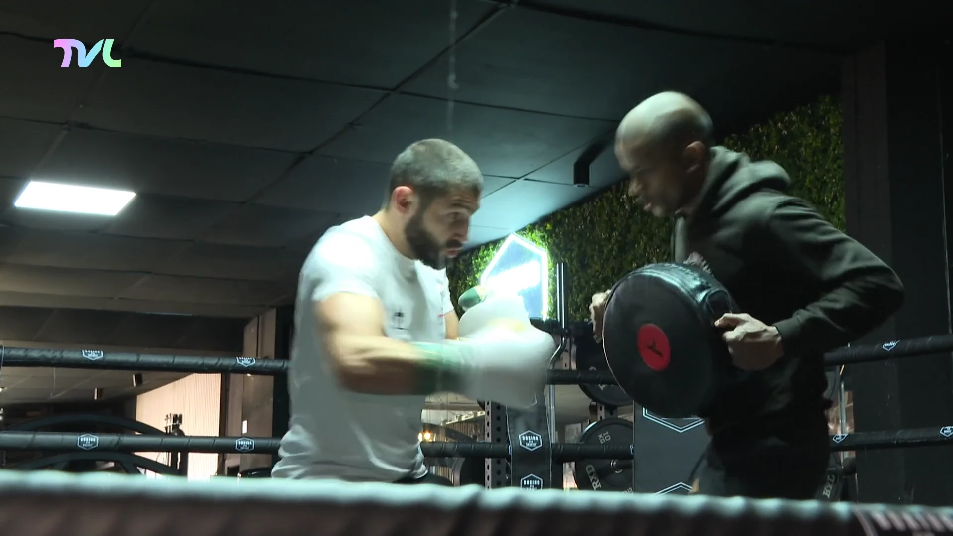 Hoofdafbeelding voor artikel Limburg International: Hovo…