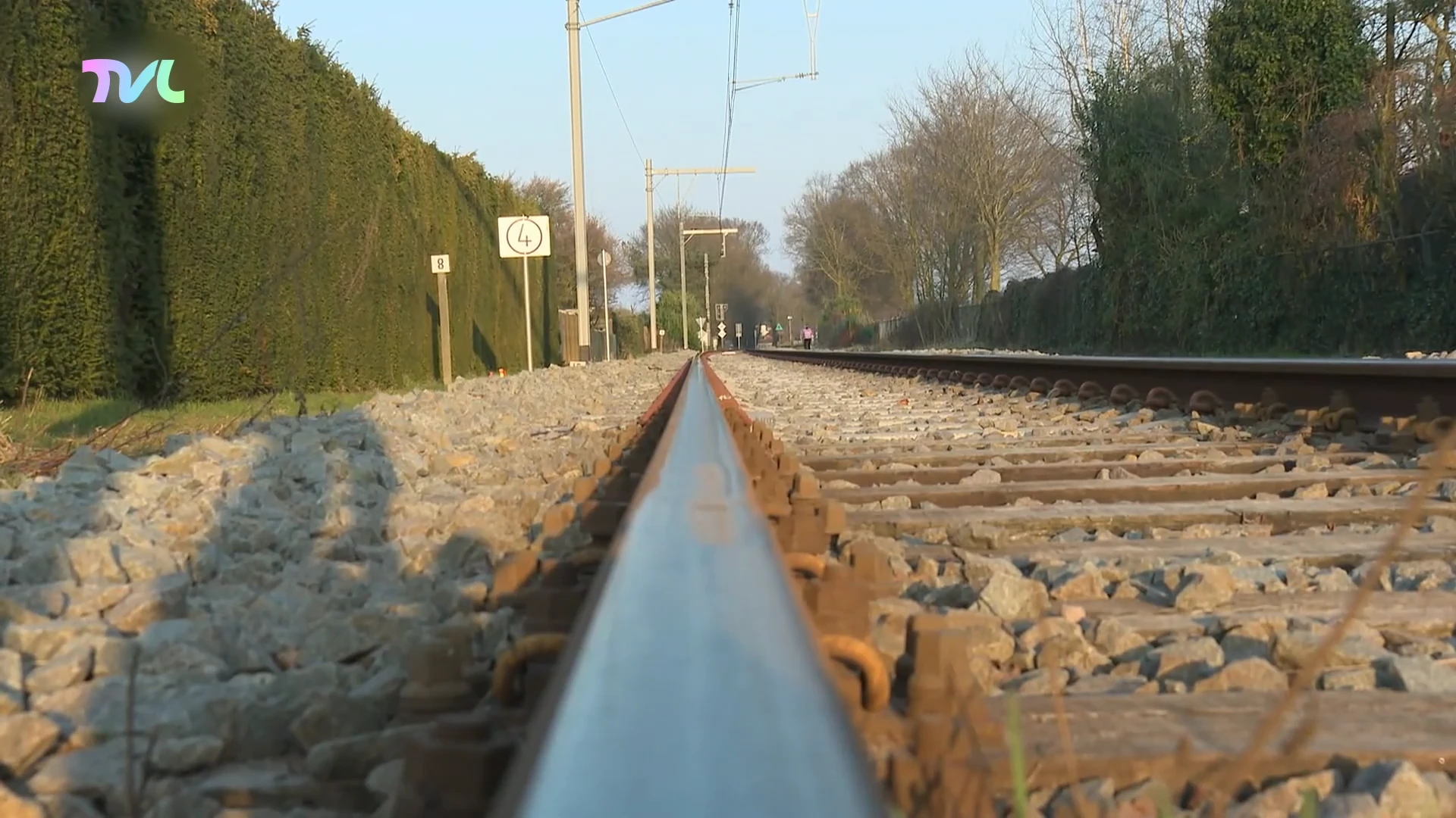 Hoofdafbeelding voor artikel TreinTramBus ijvert voor behoud…