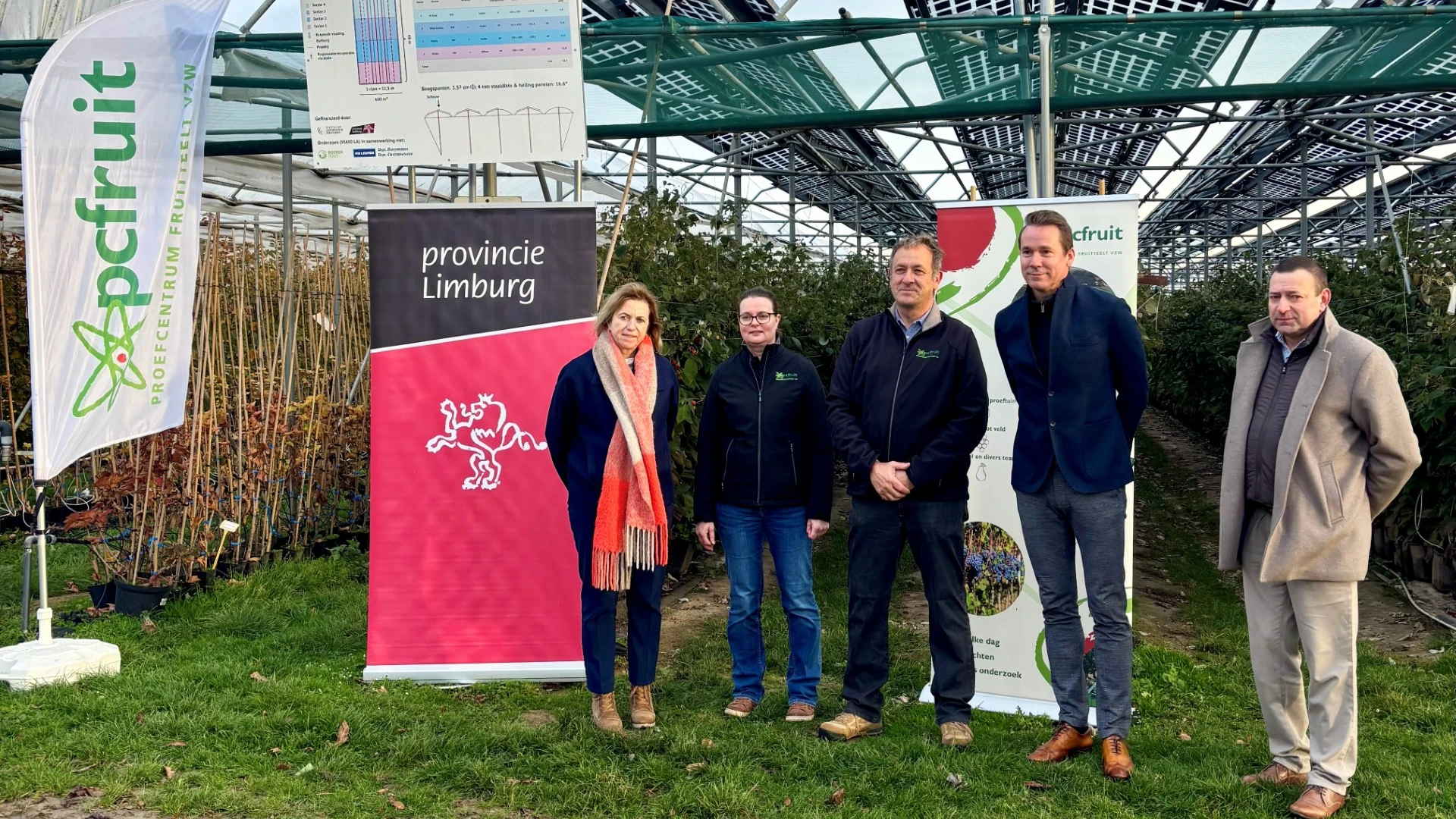 Hoofdafbeelding voor artikel Frambozen onder zonnepanelen:…