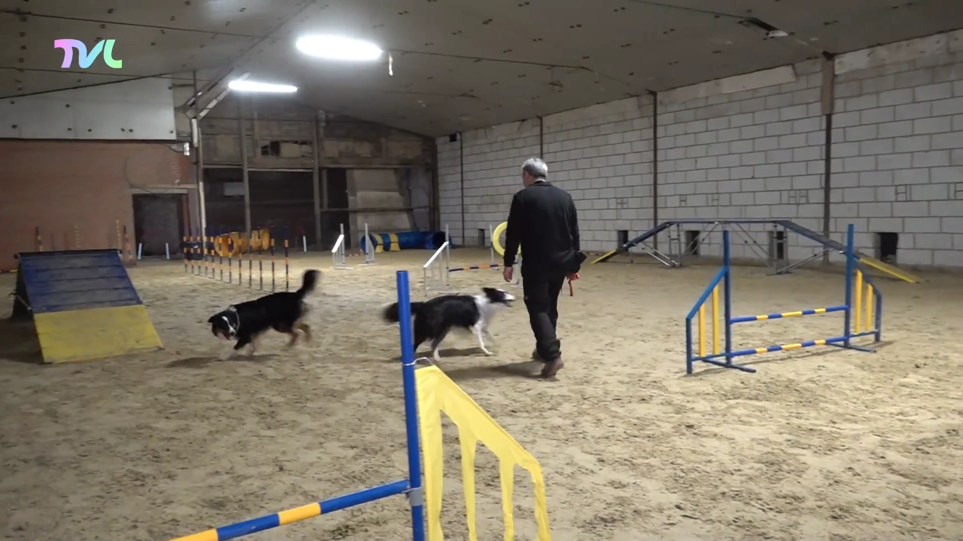 Hoofdafbeelding voor artikel Indoor speelhal voor honden…