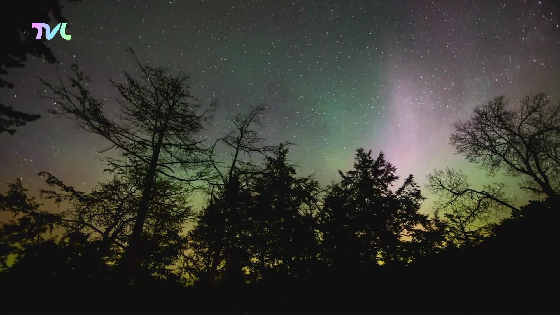 Hoofdafbeelding voor artikel Vanavond &eacute;n vannacht kan je…