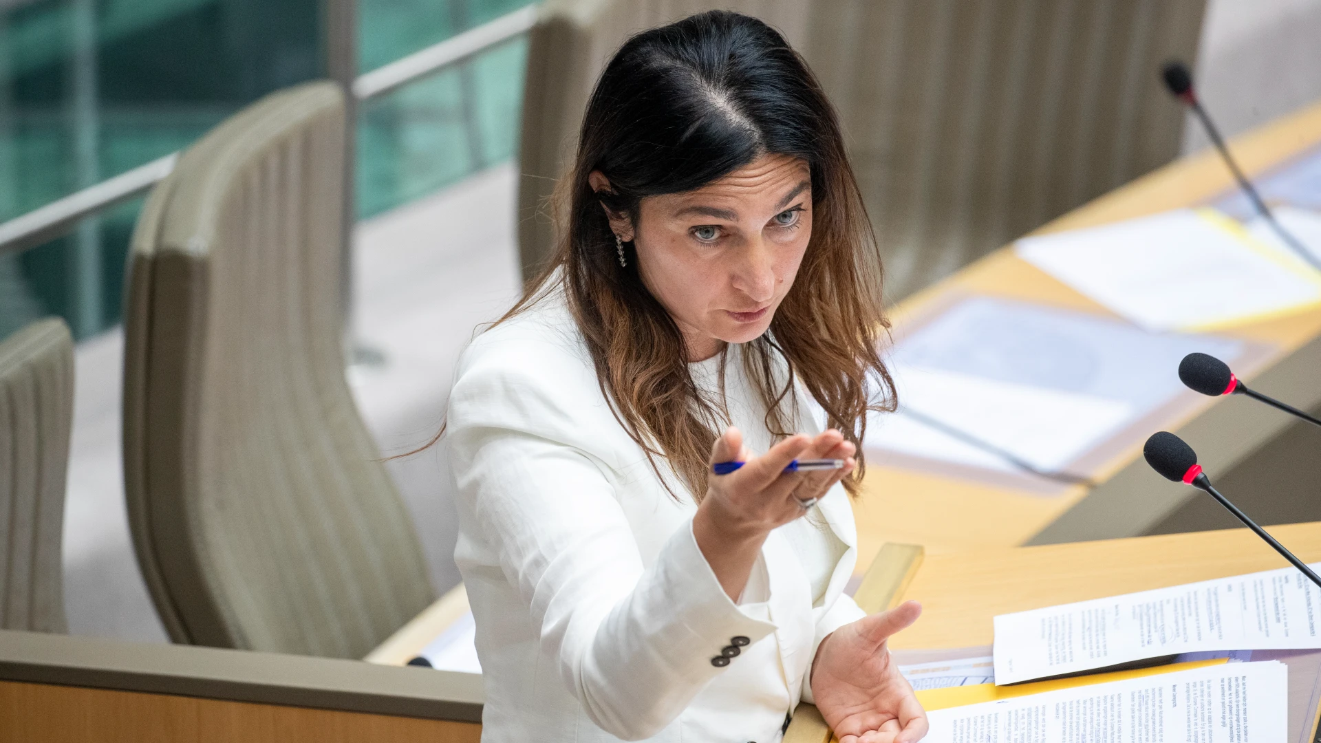 Hoofdafbeelding voor artikel Zuhal Demir (N-VA): "Terug…