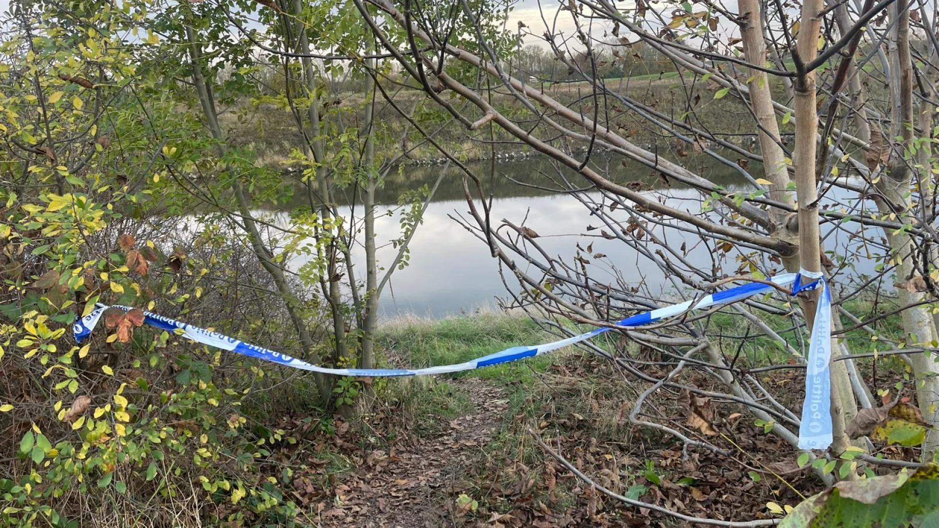 Hoofdafbeelding voor artikel Speurders zoeken massaal naar…