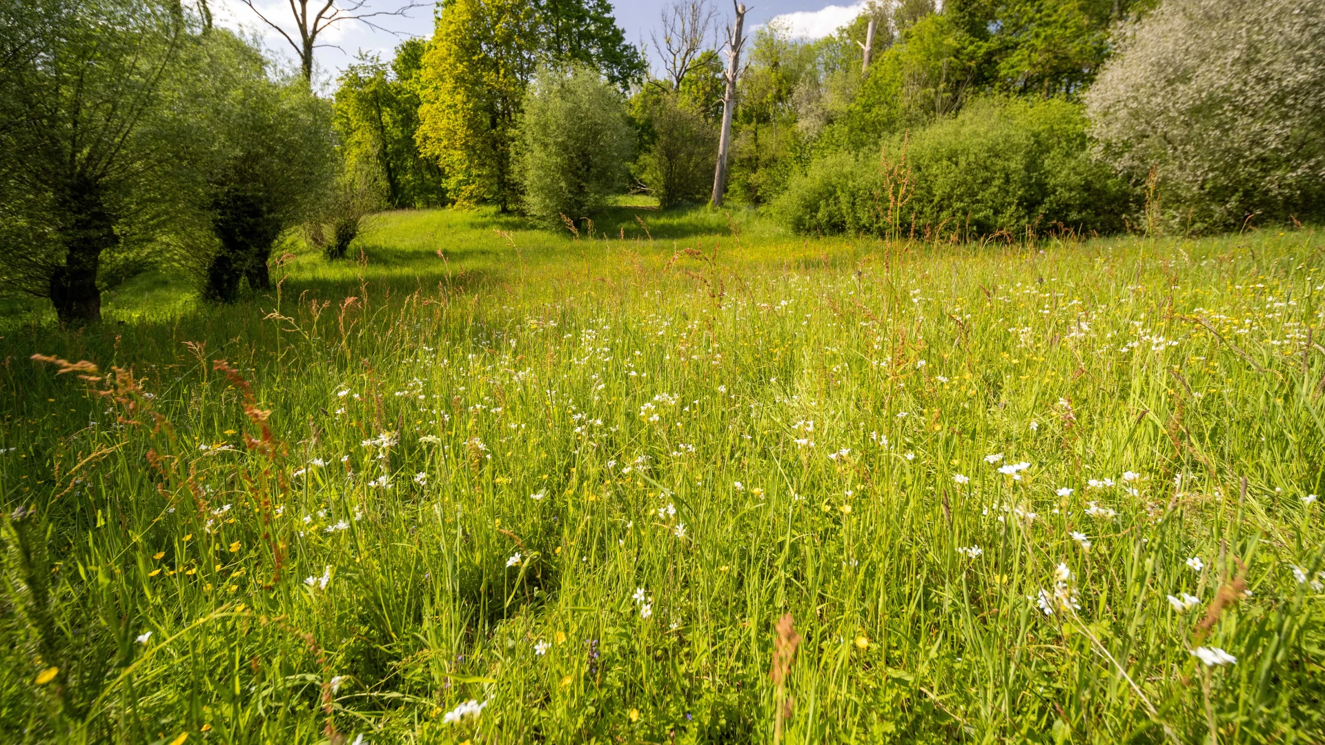 Hoofdafbeelding voor artikel Extra tijd voor klimaatrobuuste…