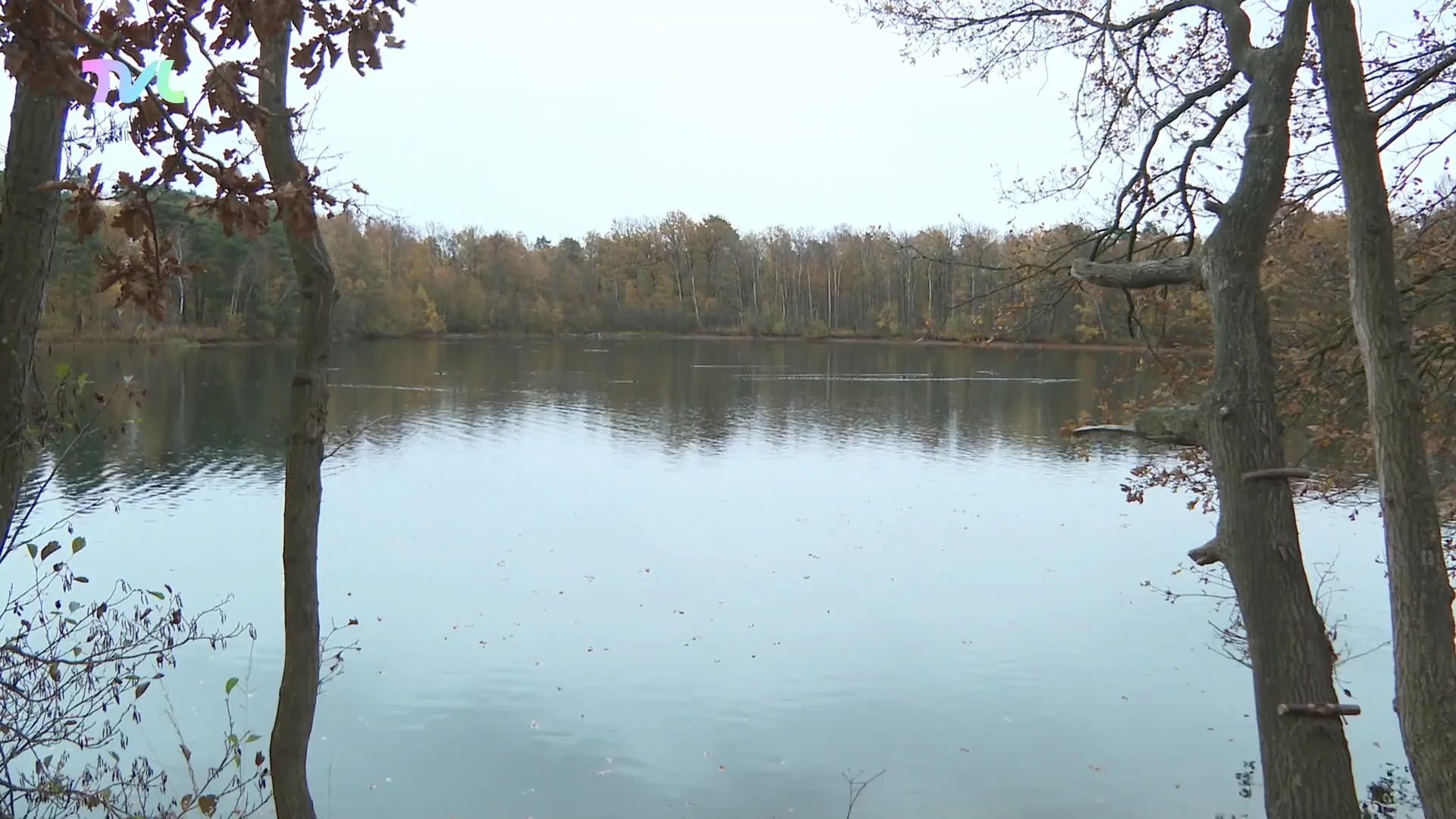 Hoofdafbeelding voor artikel Ooit omstreden Groene Delle…