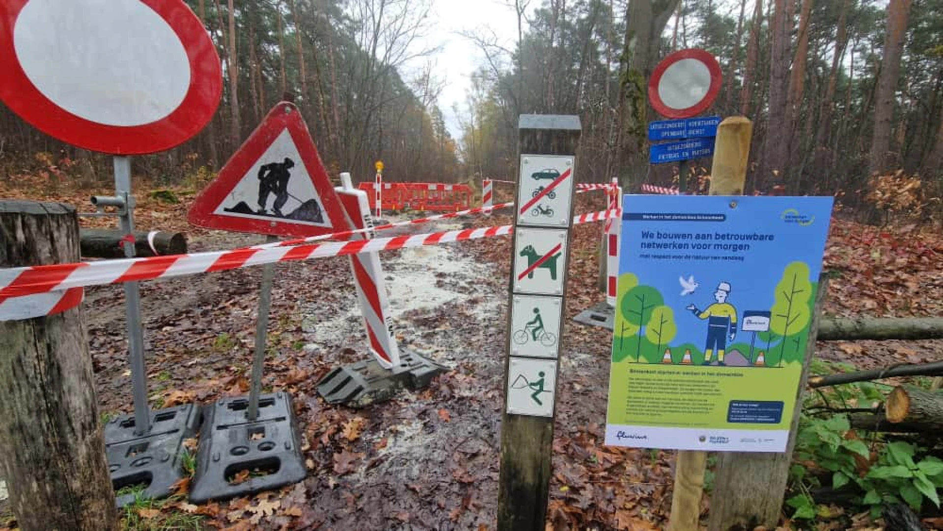 Hoofdafbeelding voor artikel Werken in bos Schoonbeek:…