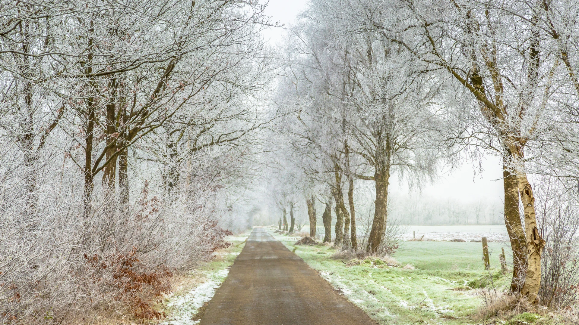 Hoofdafbeelding voor artikel Opgelet! Het wordt glad op…