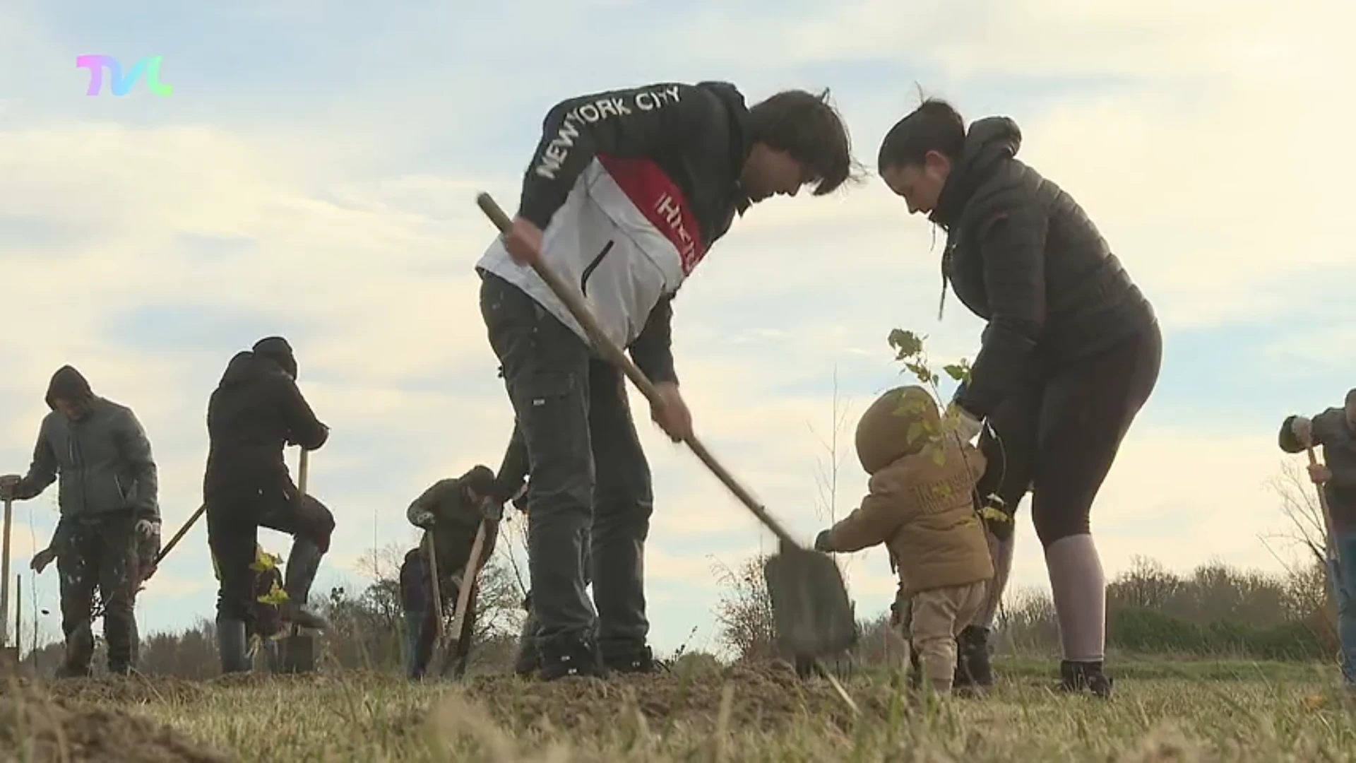 Hoofdafbeelding voor artikel Bollebos plant 2.000 bomen…