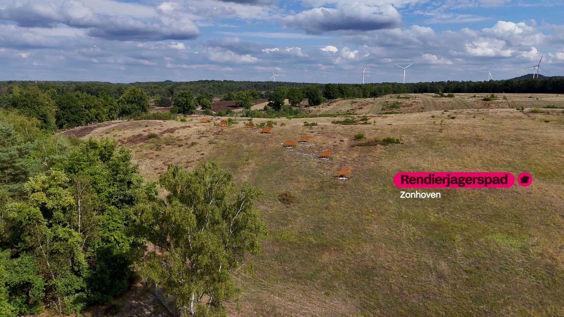 Hoofdafbeelding voor artikel Rendierjagerspad Zonhoven