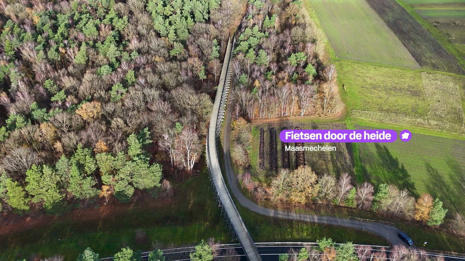 Hoofdafbeelding voor artikel Fietsen aan de Mechelse Heide…