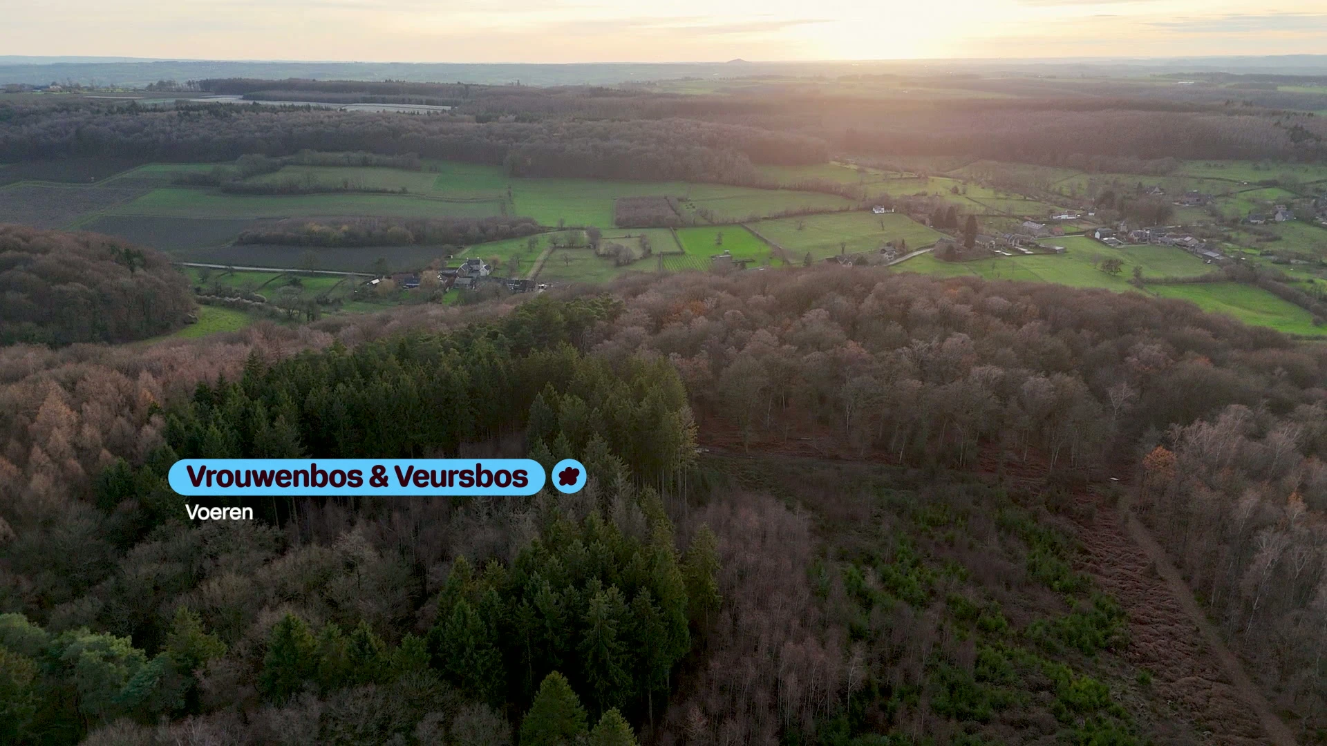 Hoofdafbeelding voor artikel Vrouwebos en Veursbos Voeren