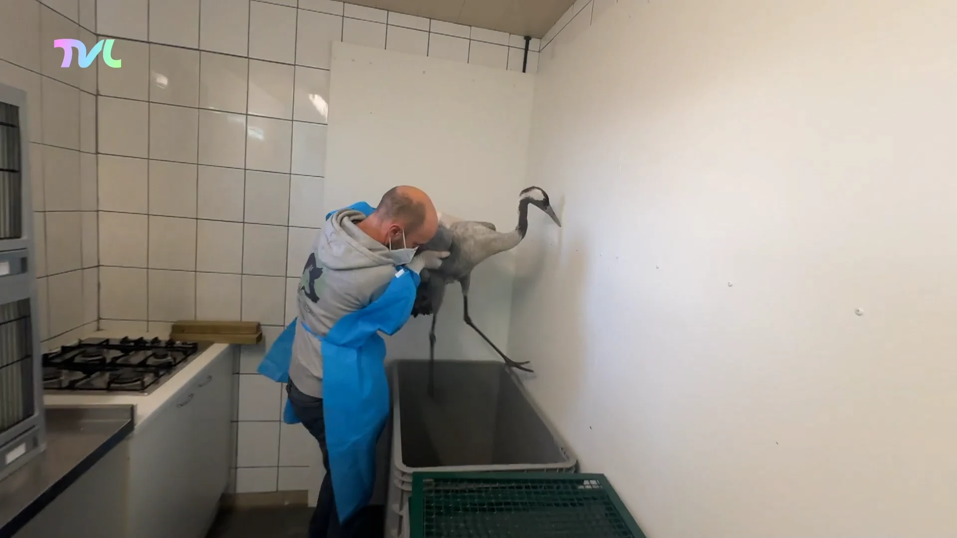 Hoofdafbeelding voor artikel Natuurhulpcentrum overstelpt…