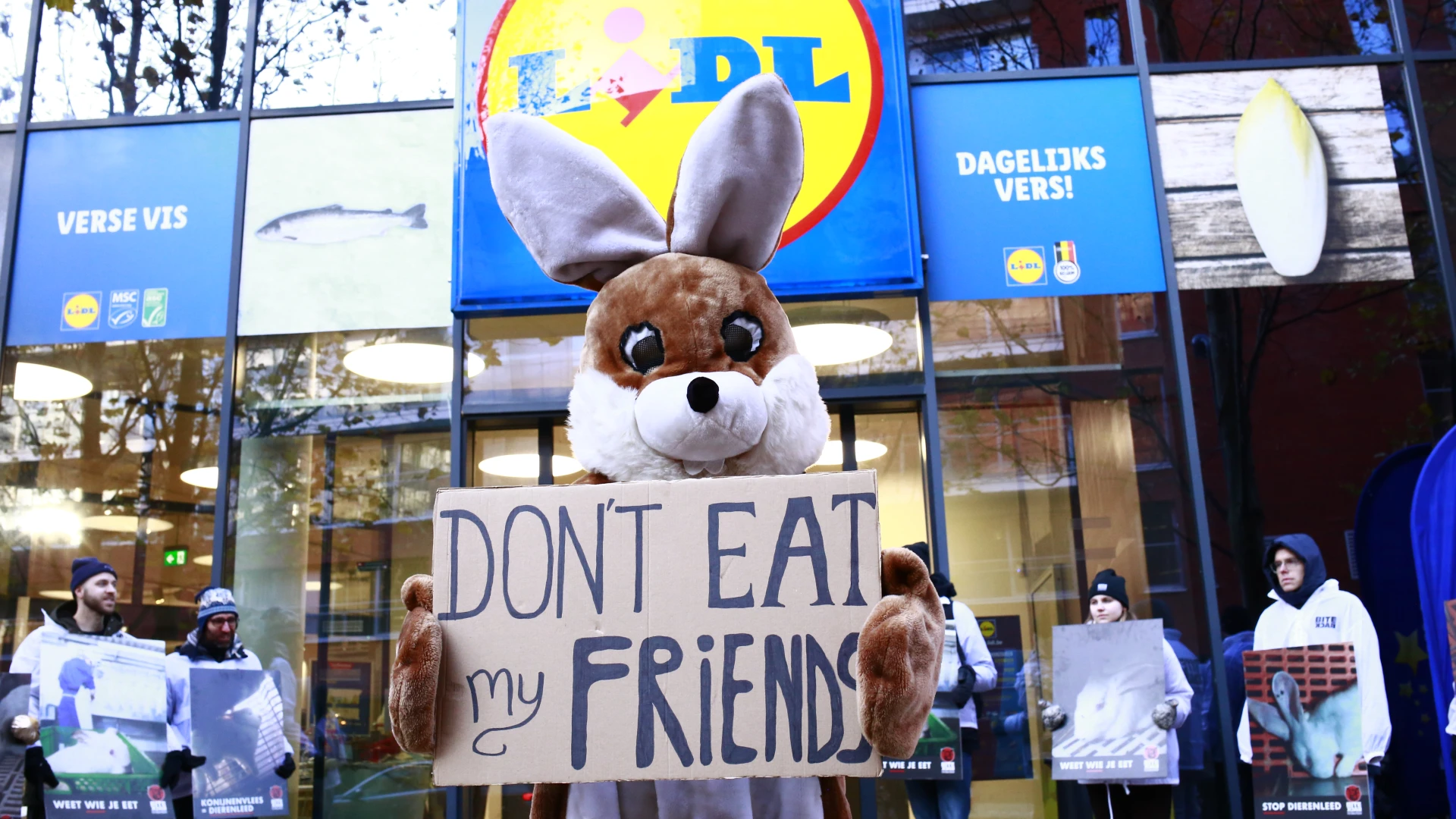 Hoofdafbeelding voor artikel Binnenkort gedaan met konijn…