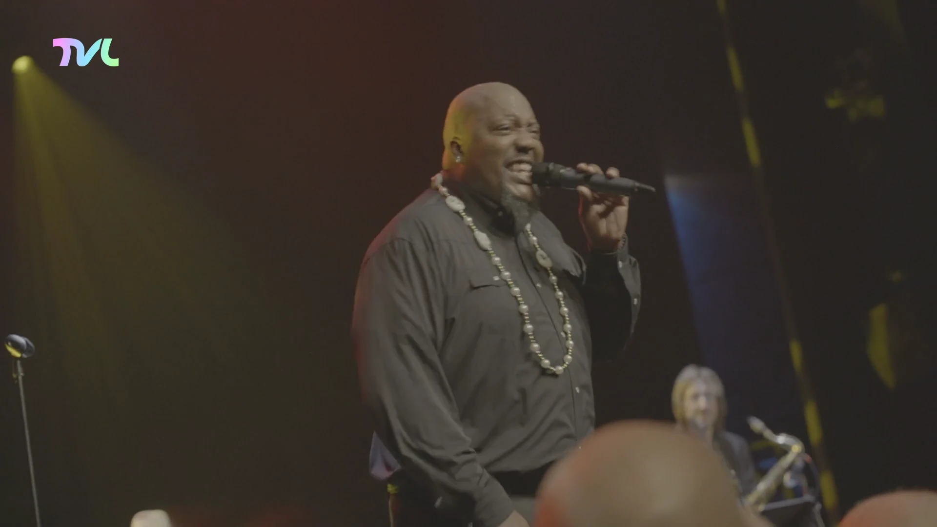 Hoofdafbeelding voor artikel 40-jarig festival Blues Peer…