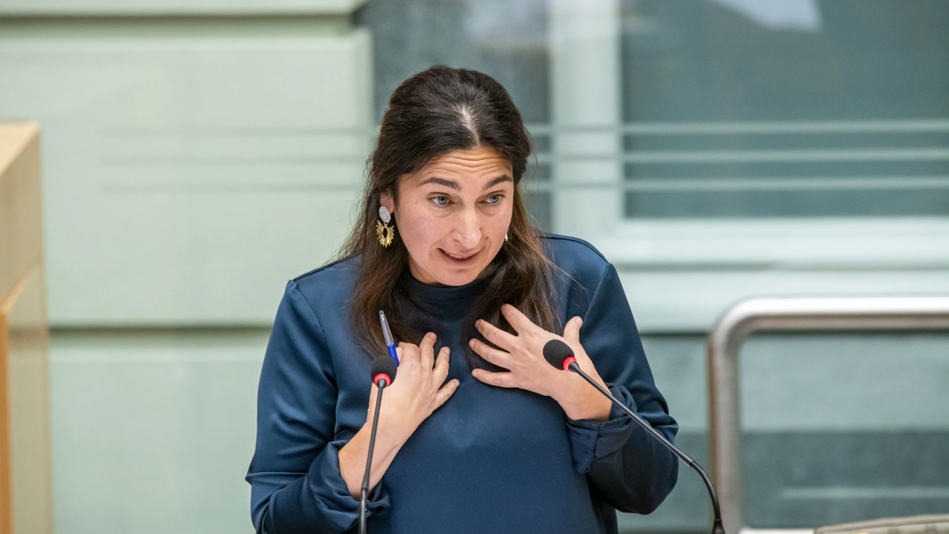 Hoofdafbeelding voor artikel Zuhal Demir wil minder labels…