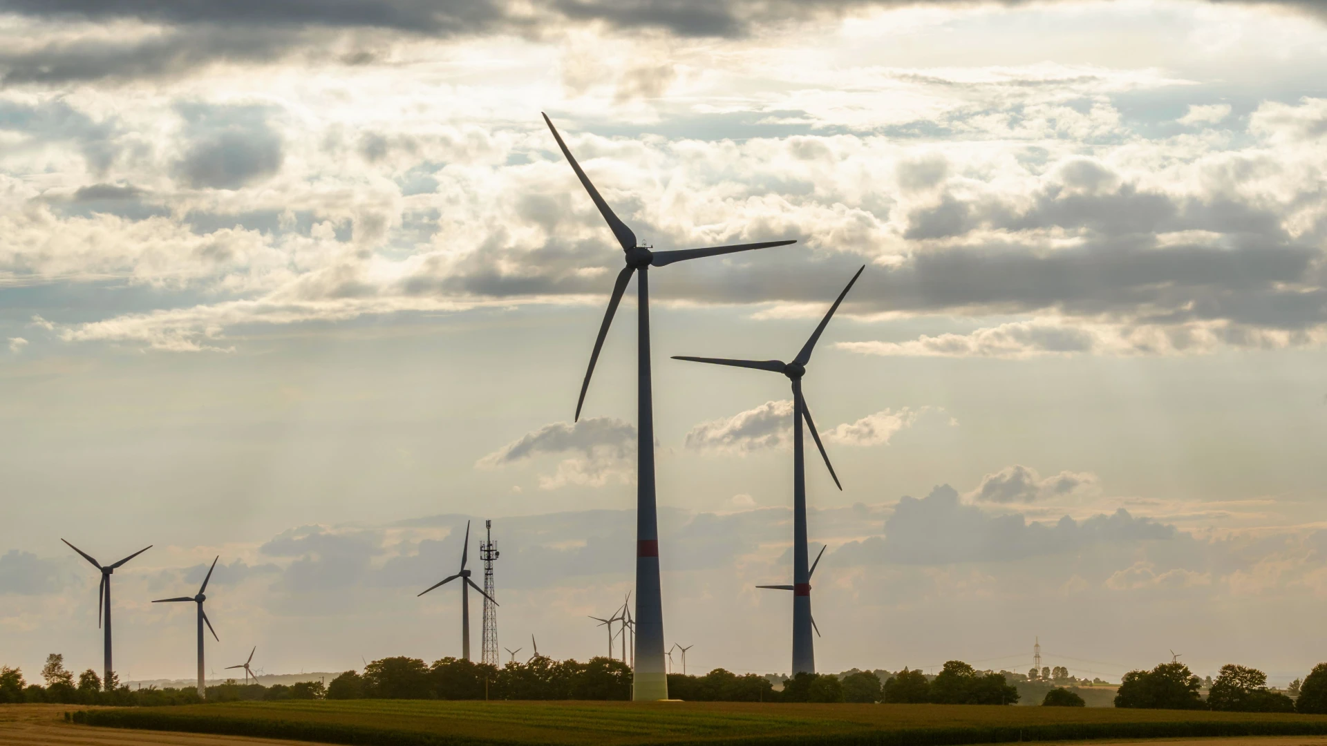 Hoofdafbeelding voor artikel Minister Brouns weigert 9…