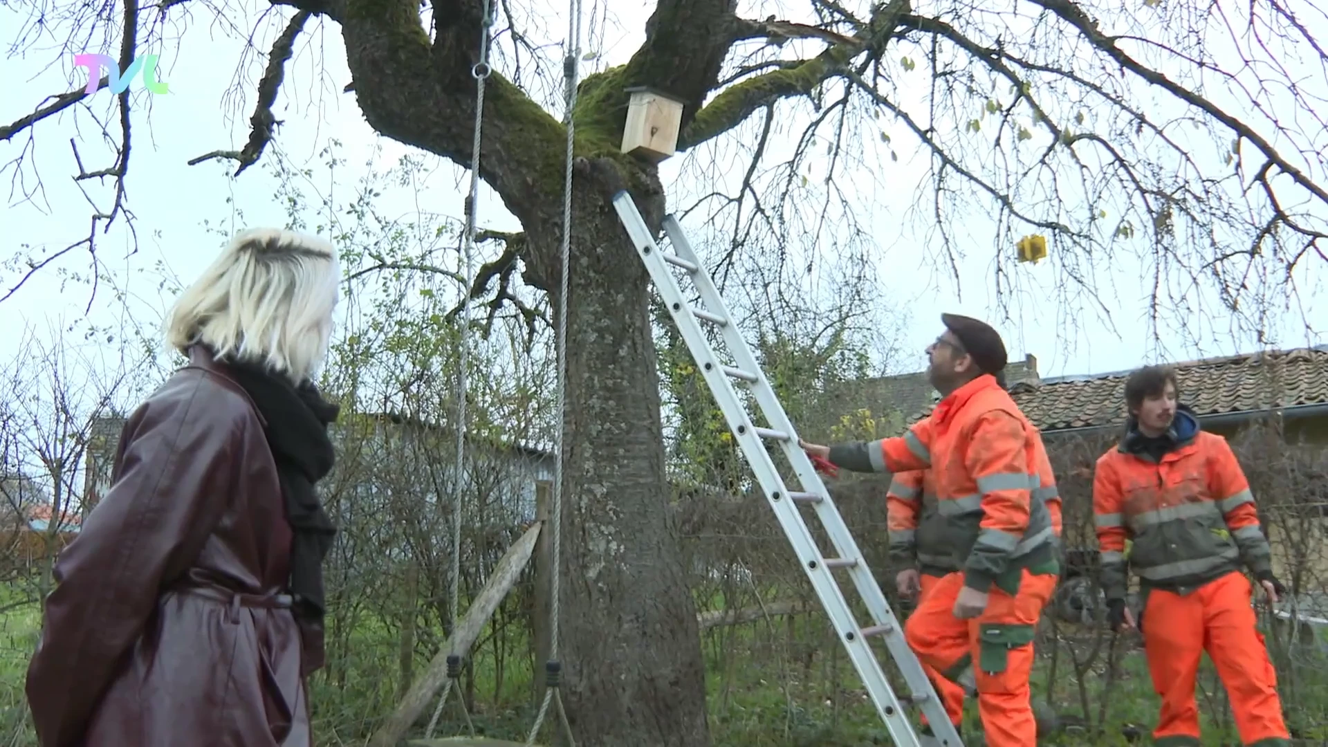 Hoofdafbeelding voor artikel Hasselt wil met uitsterven…