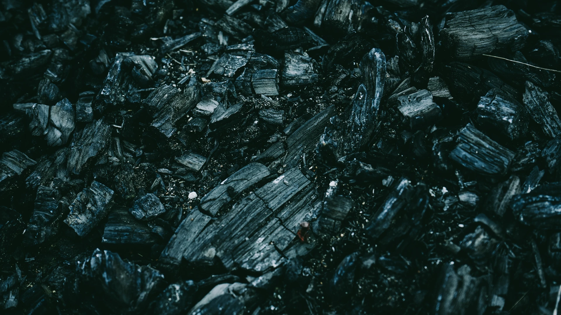 Hoofdafbeelding voor artikel Productie biocoal stopt in…