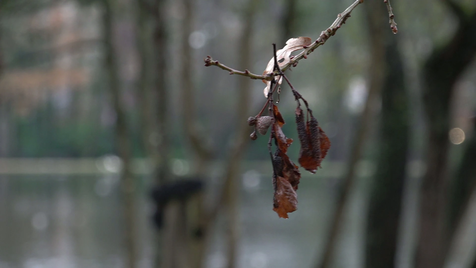 Hoofdafbeelding voor artikel Uitzonderlijk warm weer voorbode…
