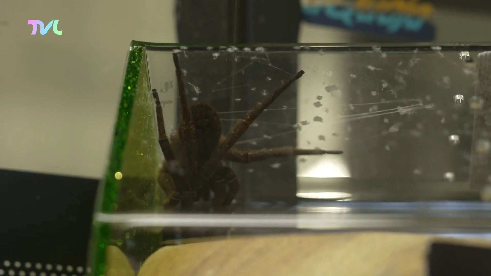 Hoofdafbeelding voor artikel Natuurhulpcentrum Oudsbergen…