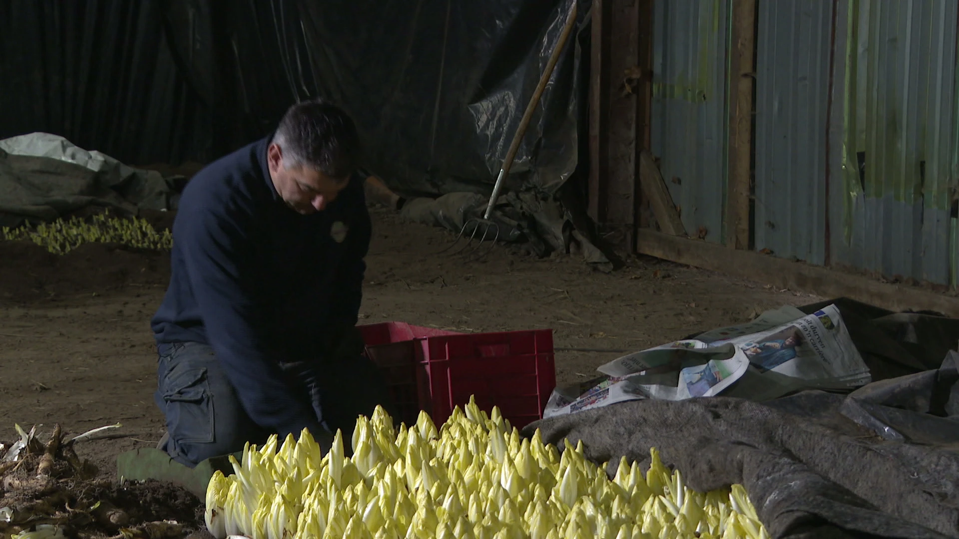 Hoofdafbeelding voor artikel TVL Nieuws, 11 december 2025