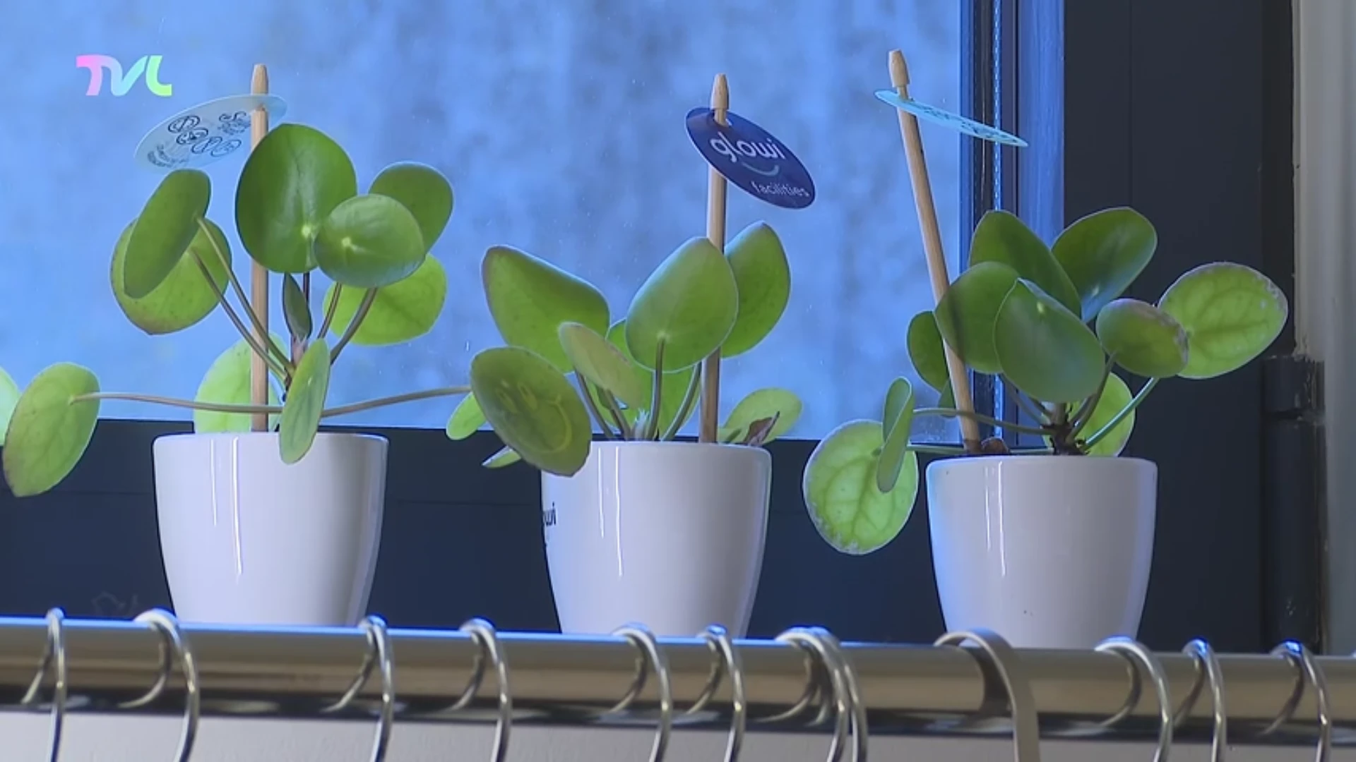 Hoofdafbeelding voor artikel Limburgs personeel krijgt…