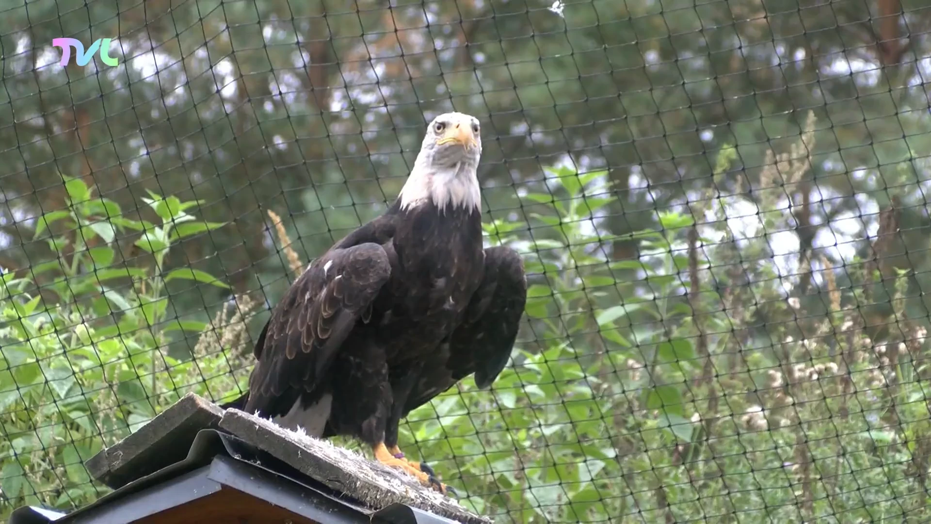 Hoofdafbeelding voor artikel Natuurhulpcentrum Oudsbergen…