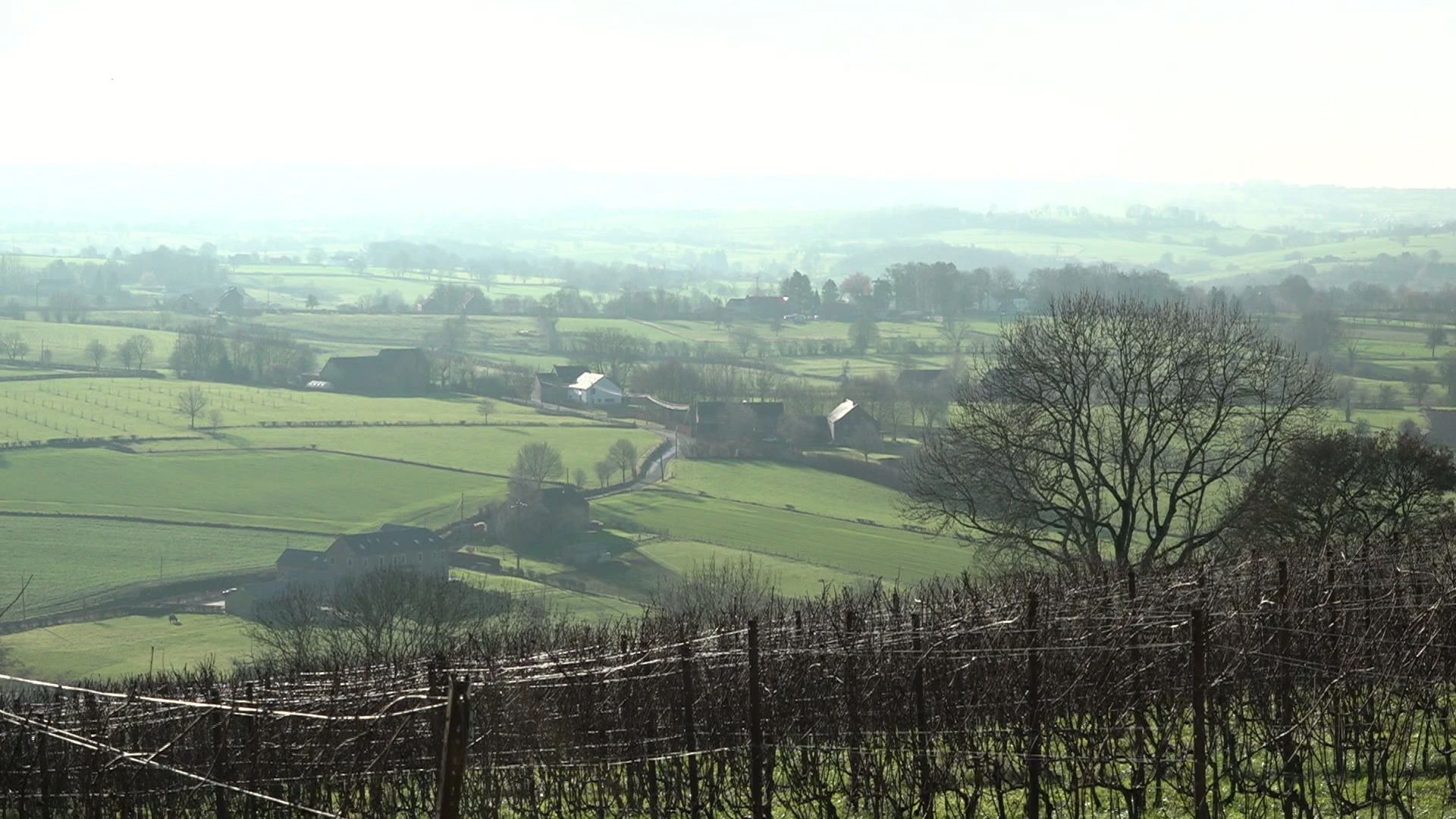 Hoofdafbeelding voor artikel Minimale landschapsimpact…