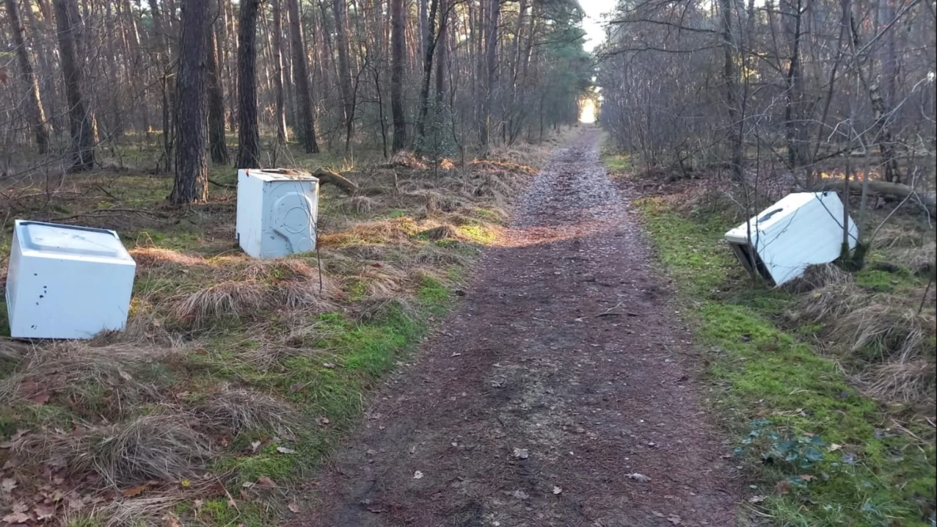 Hoofdafbeelding voor artikel Sluikstort of kunst? Wat doen…