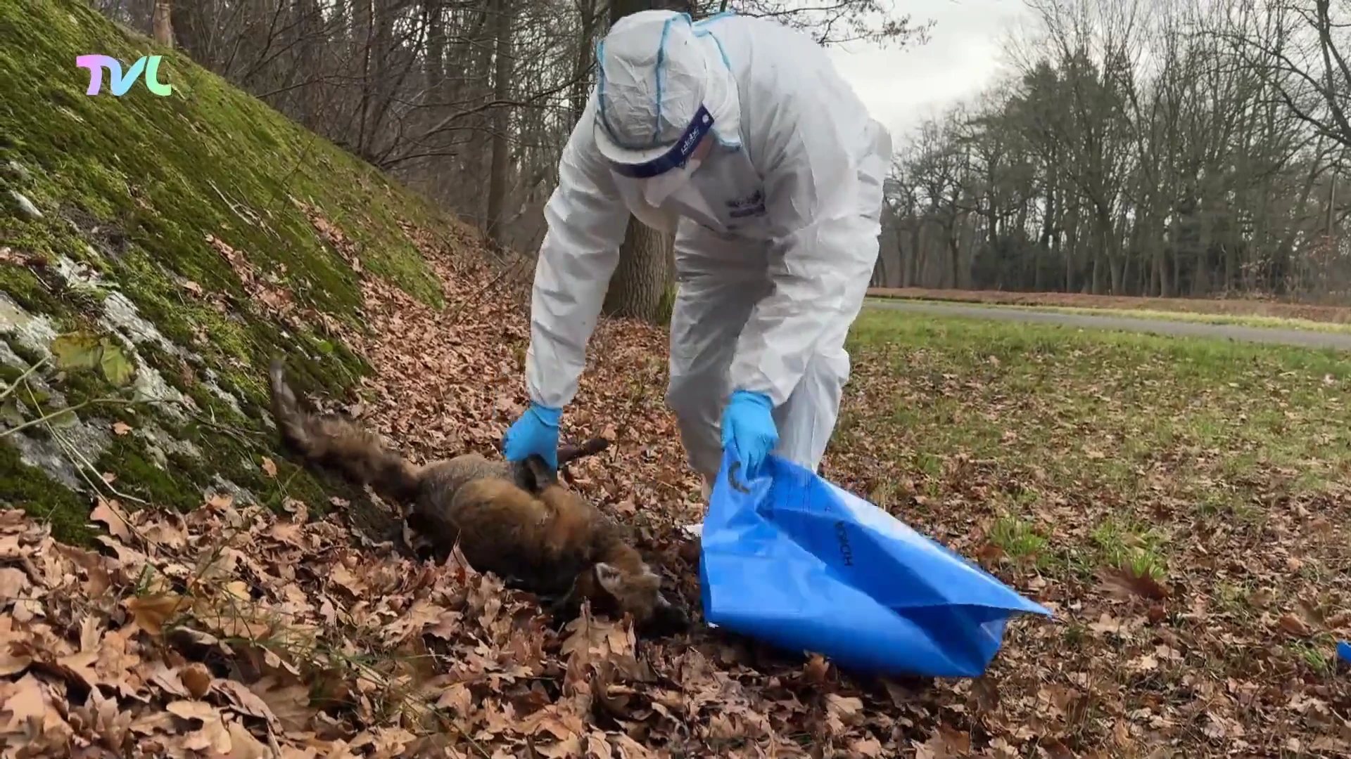 Hoofdafbeelding voor artikel Natuurhulpcentrum vraagt financi&euml;le…