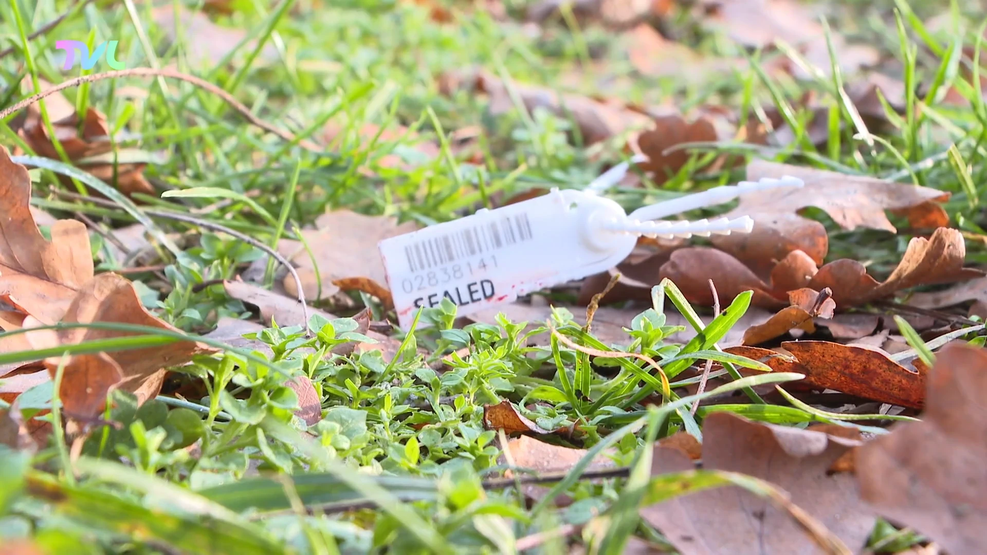 Hoofdafbeelding voor artikel Drie verdachten van schietpartij…