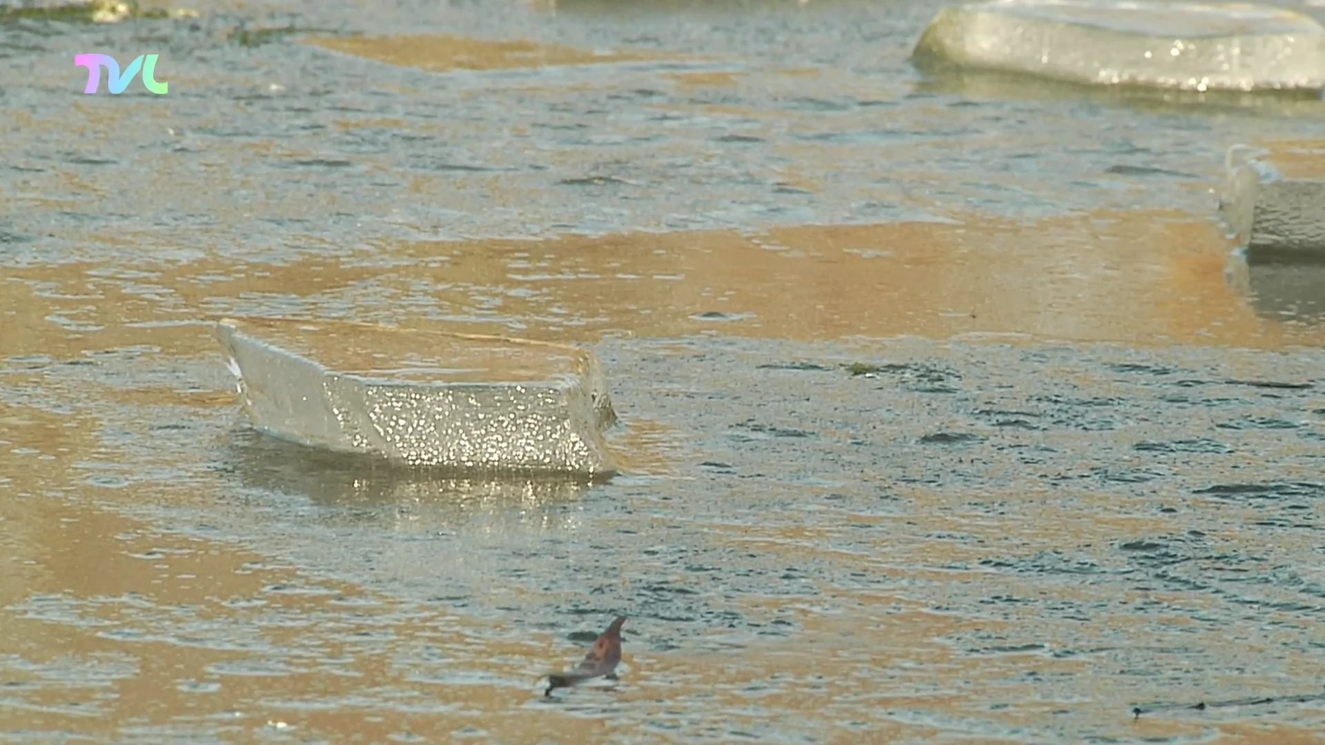 Hoofdafbeelding voor artikel Tieners zakken door ijs aan…