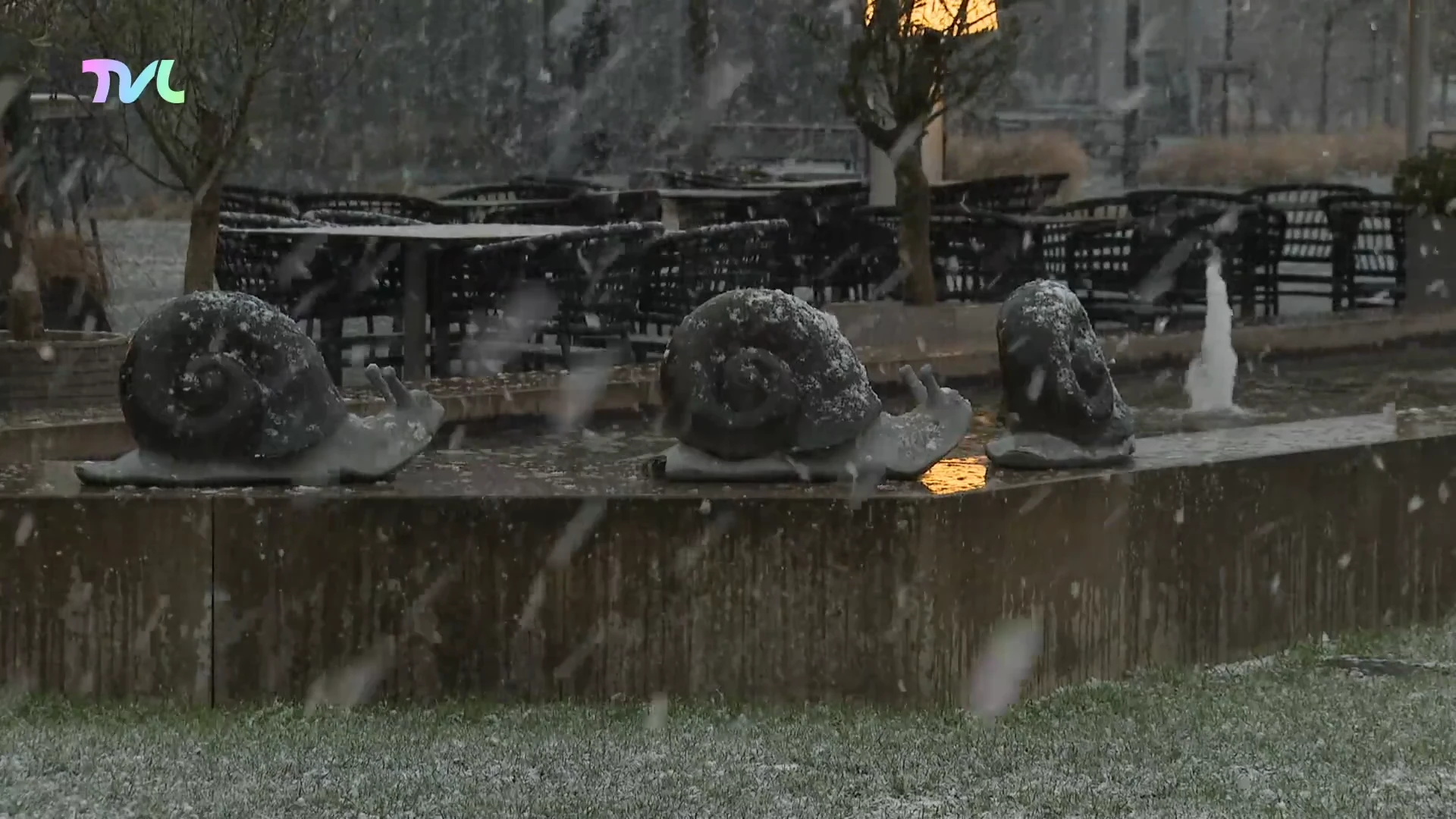 Hoofdafbeelding voor artikel TVL nieuws, 2 januari 2026