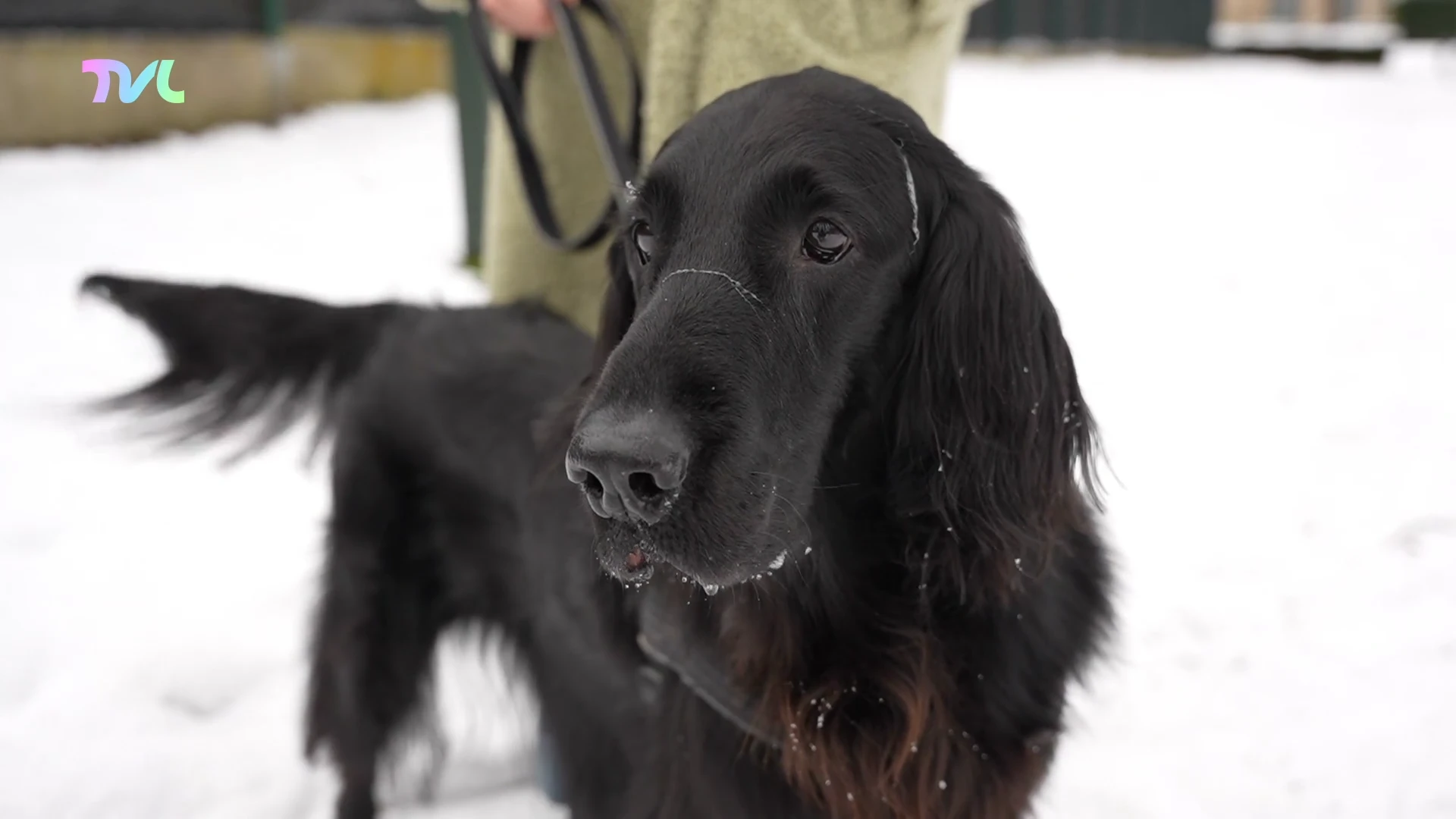Hoofdafbeelding voor artikel TVL Nieuws, 5 januari 2026