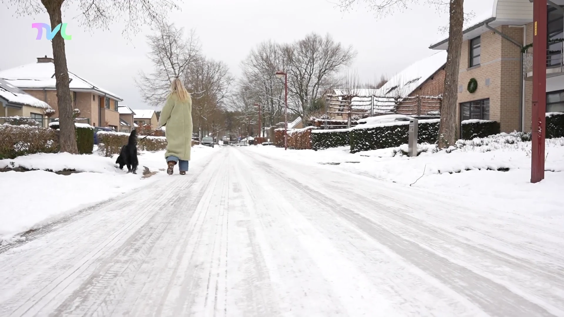 Hoofdafbeelding voor artikel Dierenartsen waarschuwen hondeneigenaars…
