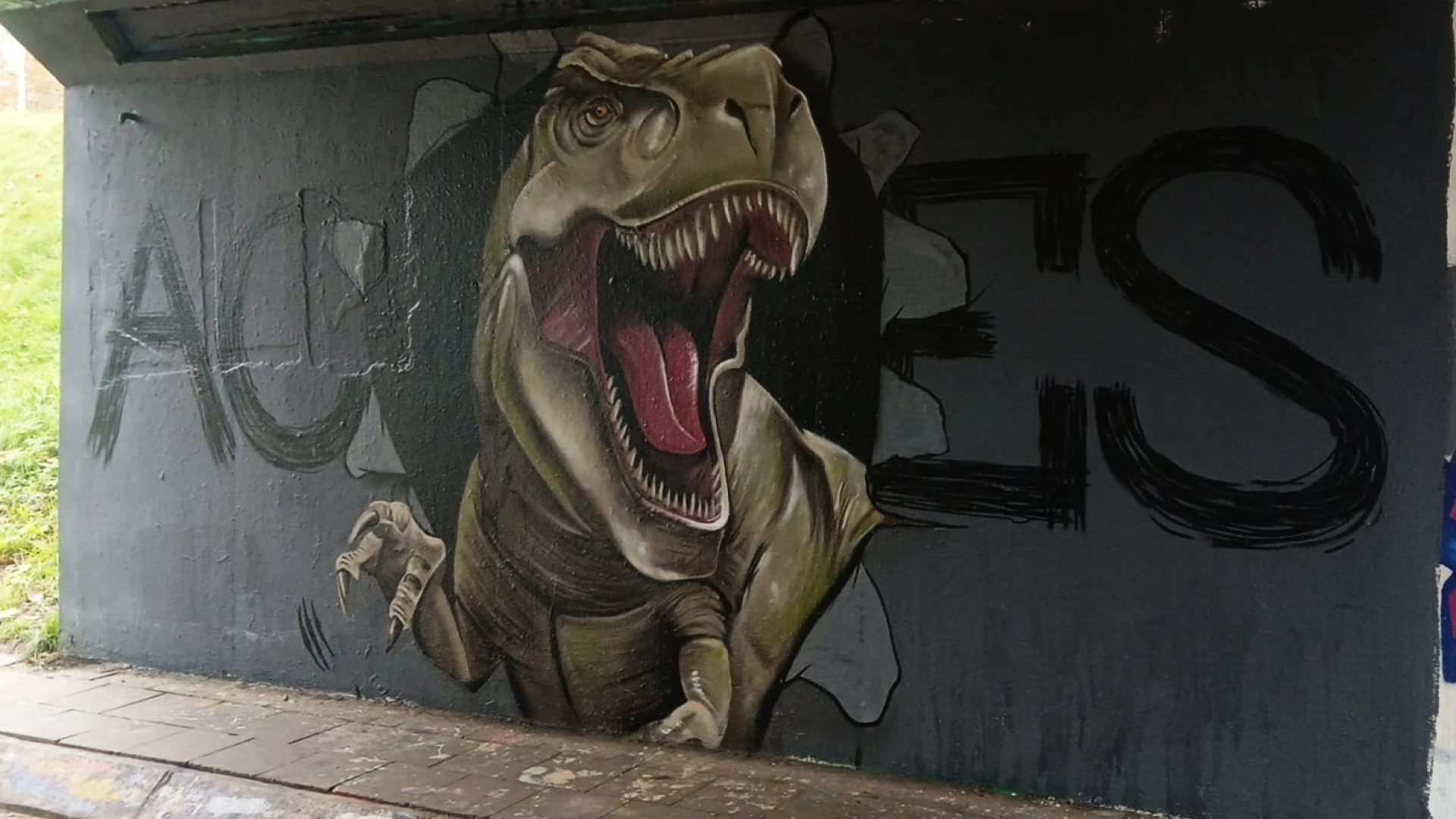 Hoofdafbeelding voor artikel Wordt Hasselt Street Art City…