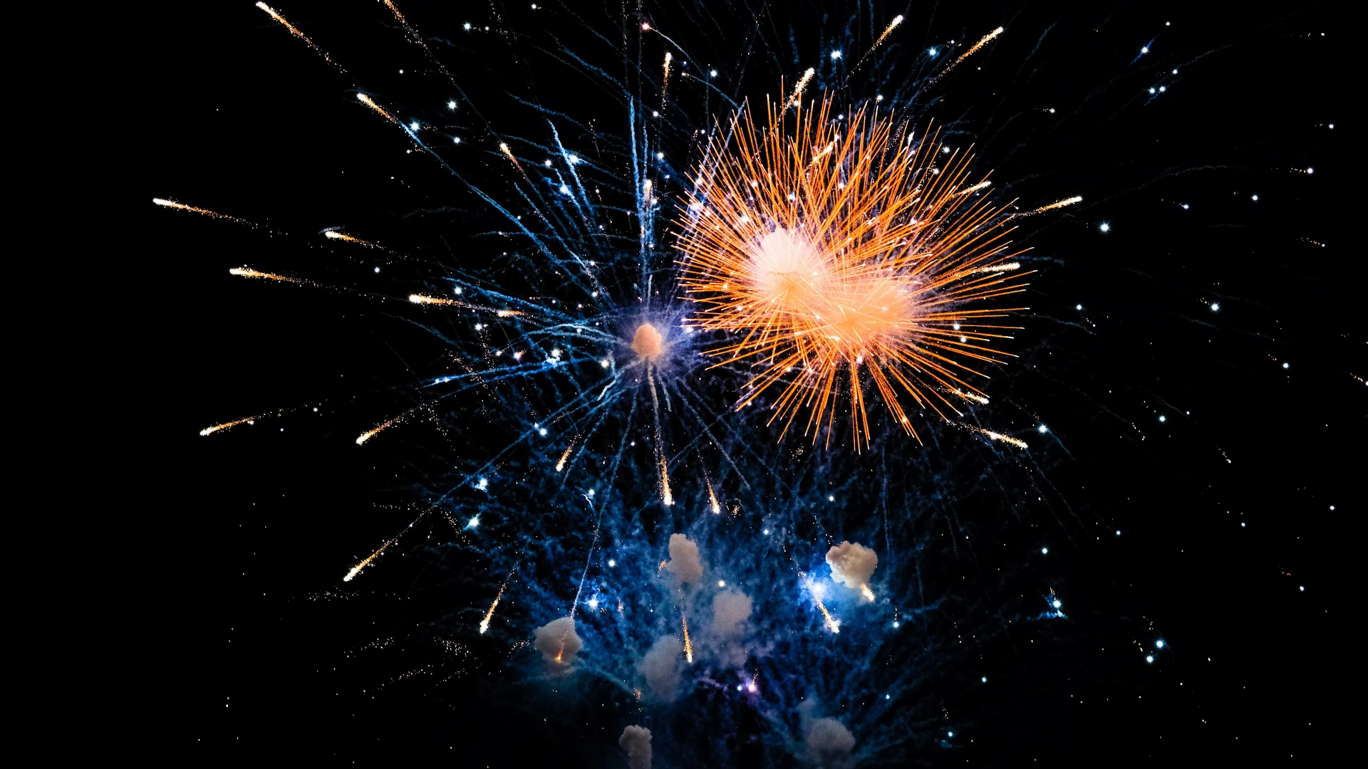 Hoofdafbeelding voor artikel GAIA pleit voor vuurwerkverbod:…