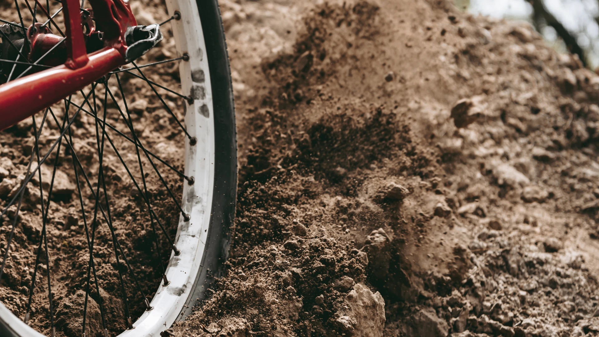 Hoofdafbeelding voor artikel BK cyclocross Beringen bereidt…