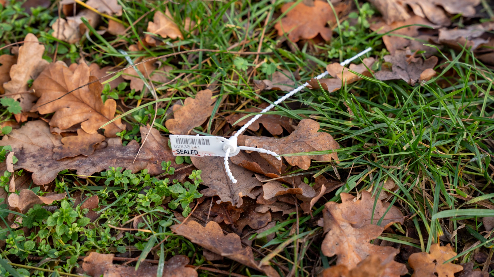 Hoofdafbeelding voor artikel Meerdere arrestaties na schietpartij…