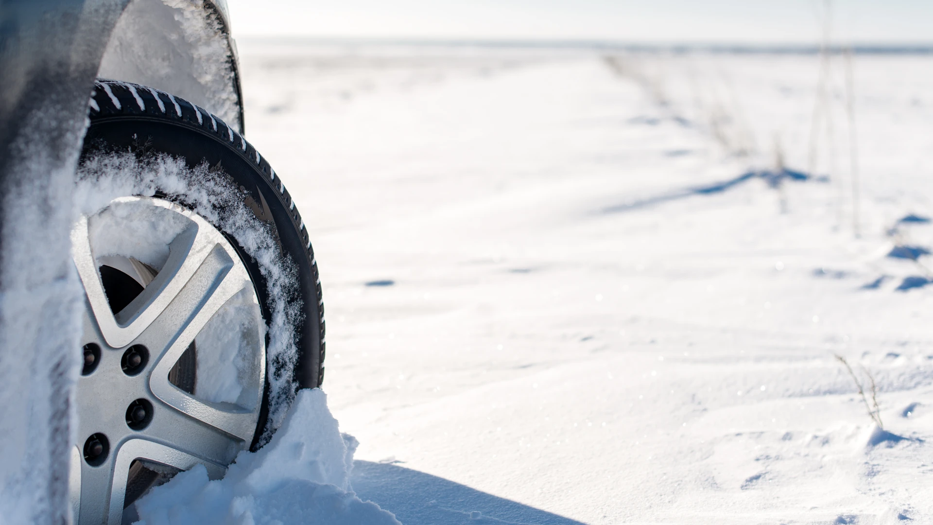 Hoofdafbeelding voor artikel Bandencentrale Profile waarschuwt…