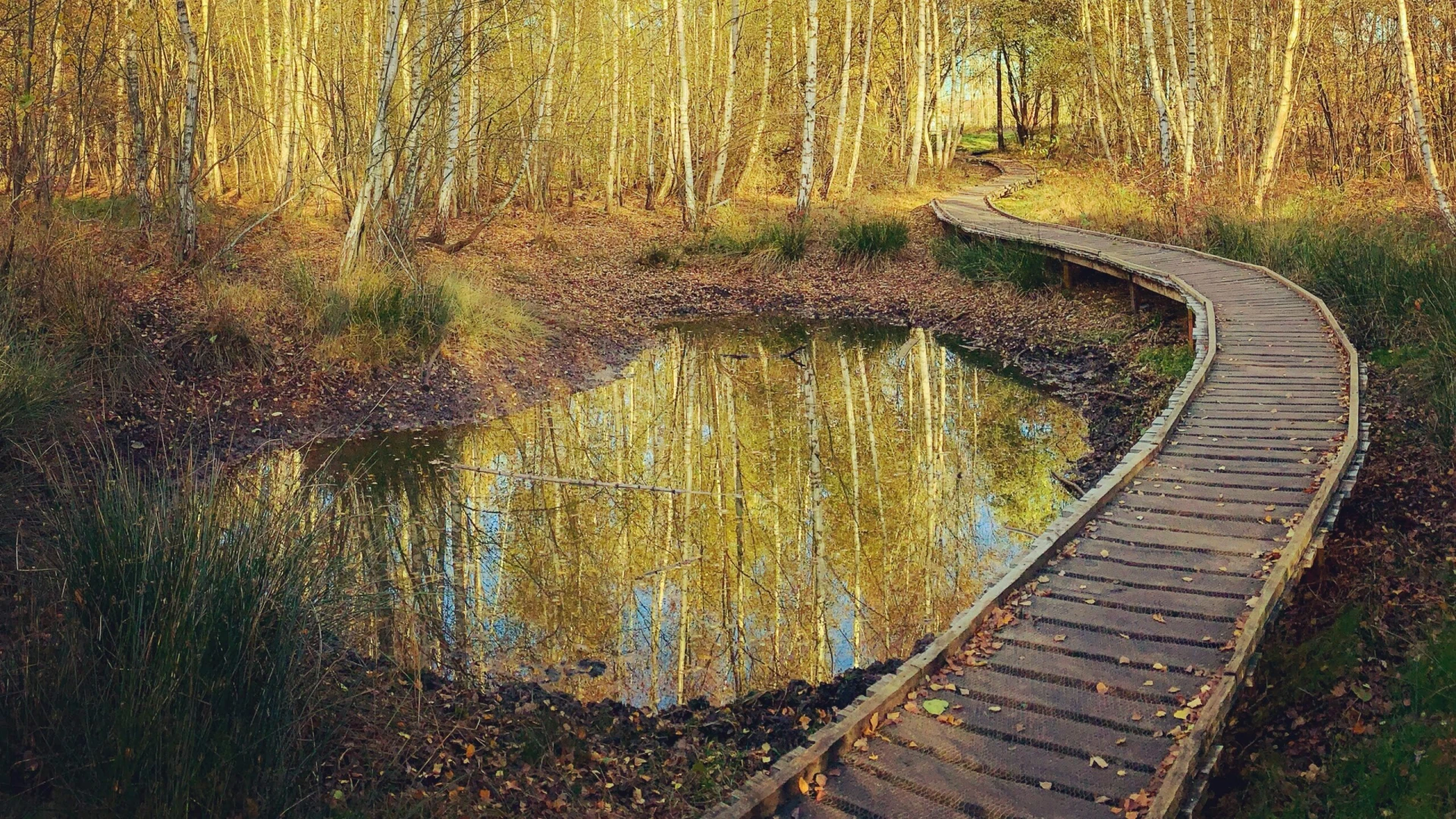 Hoofdafbeelding voor artikel Domein Kiewit zoekt helpende…