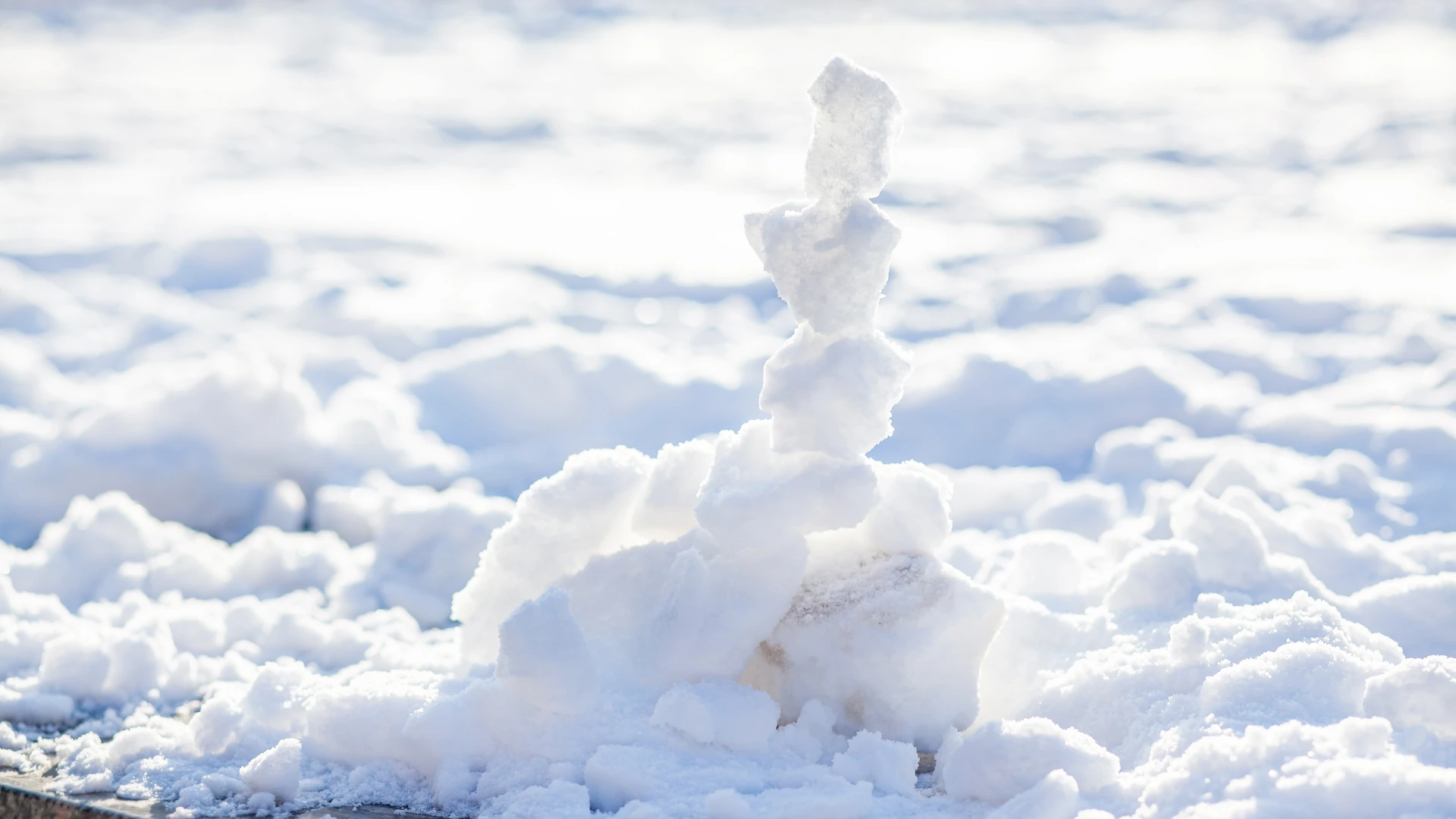 Hoofdafbeelding voor artikel Vers sneeuwtapijt in Limburg,…