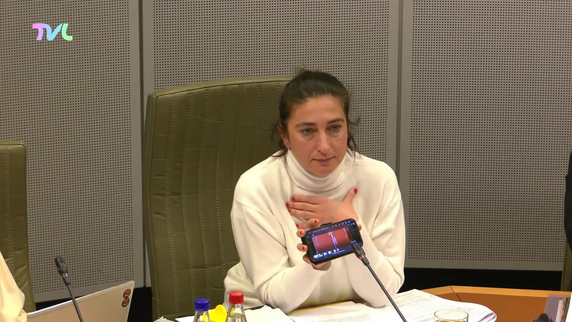 Hoofdafbeelding voor artikel Walter Pauli: "Dit zal niet…