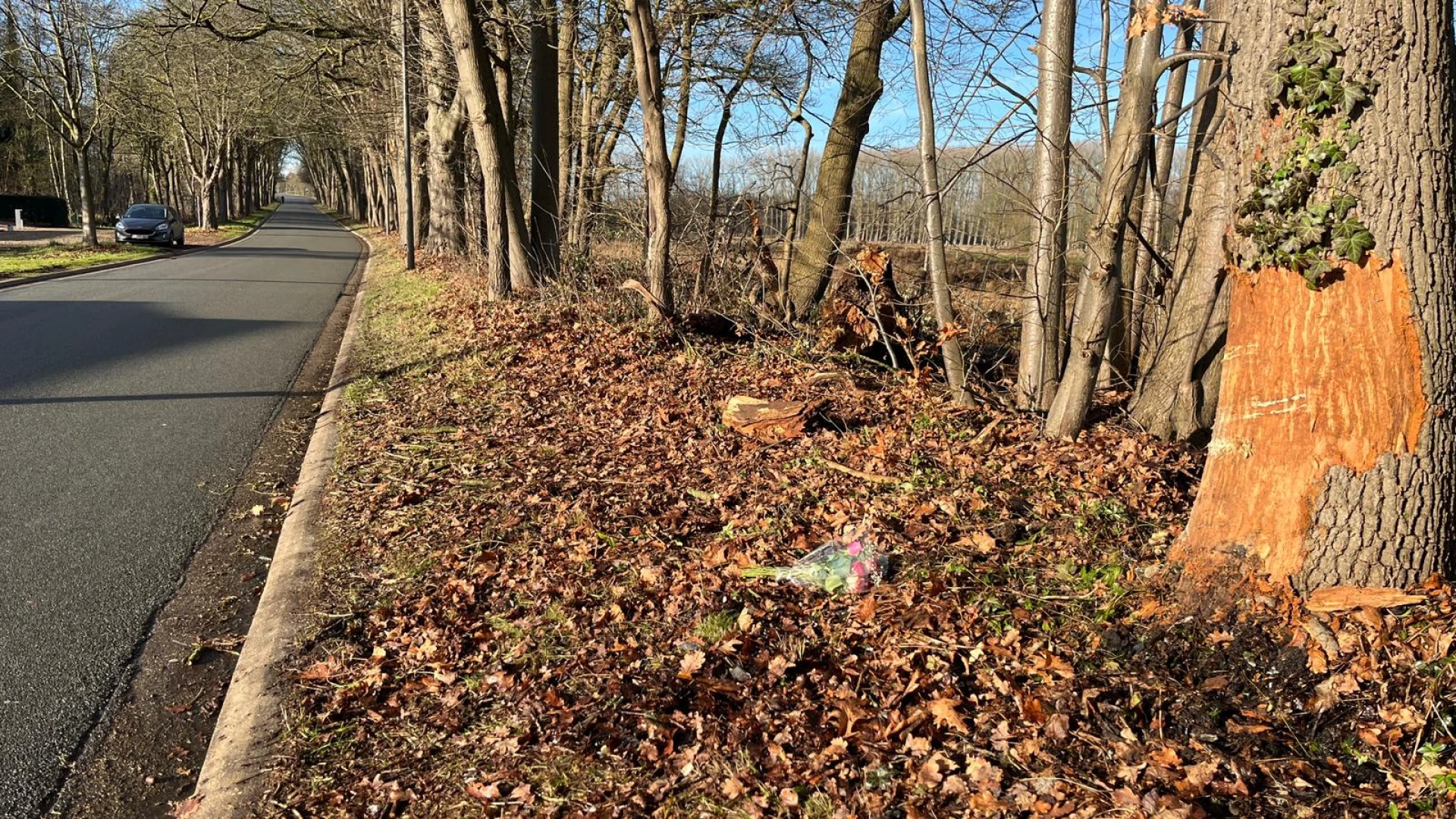 Hoofdafbeelding voor artikel Twintiger komt om het leven…