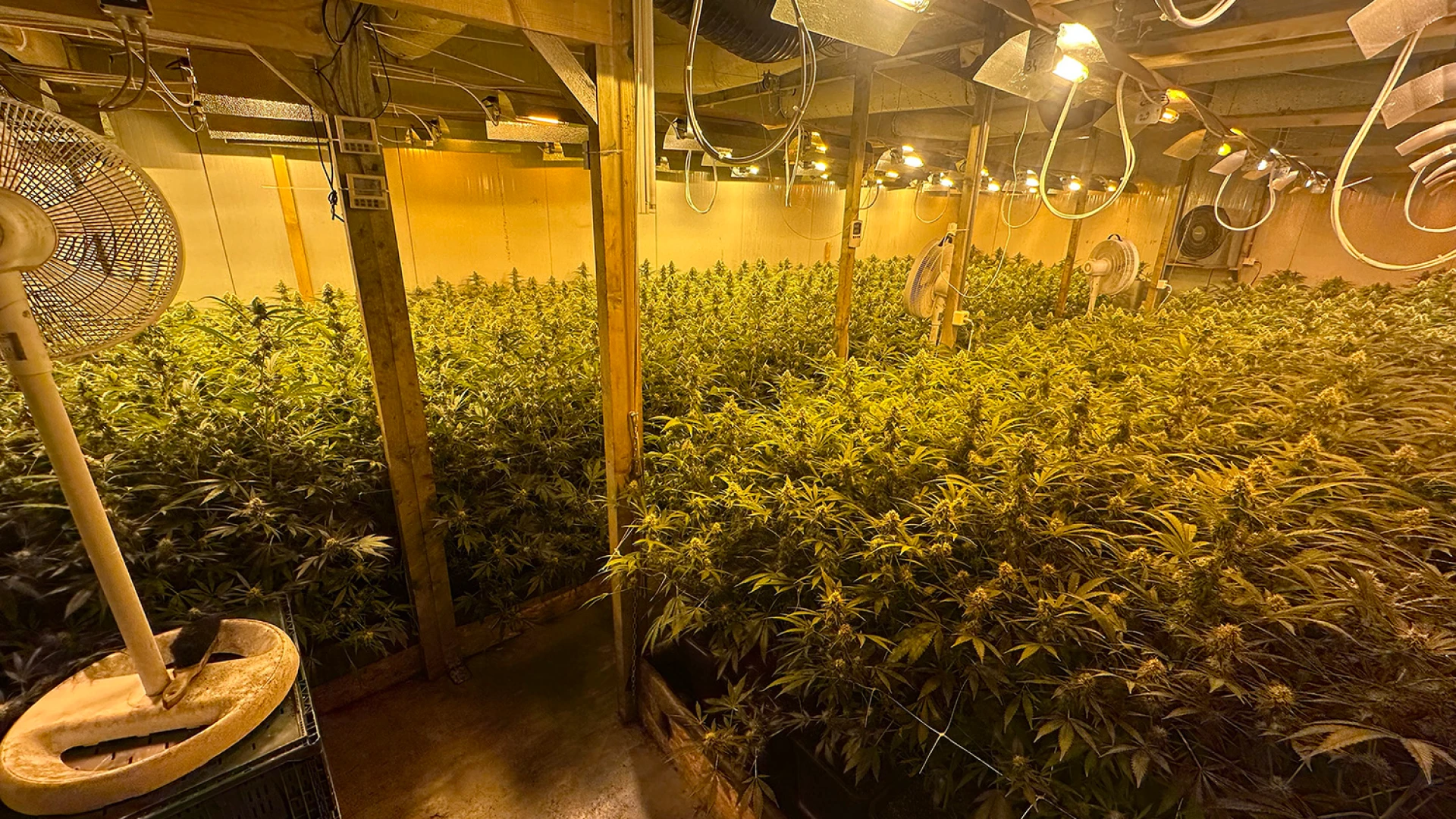 Hoofdafbeelding voor artikel Politie CARMA ontdekt actieve…