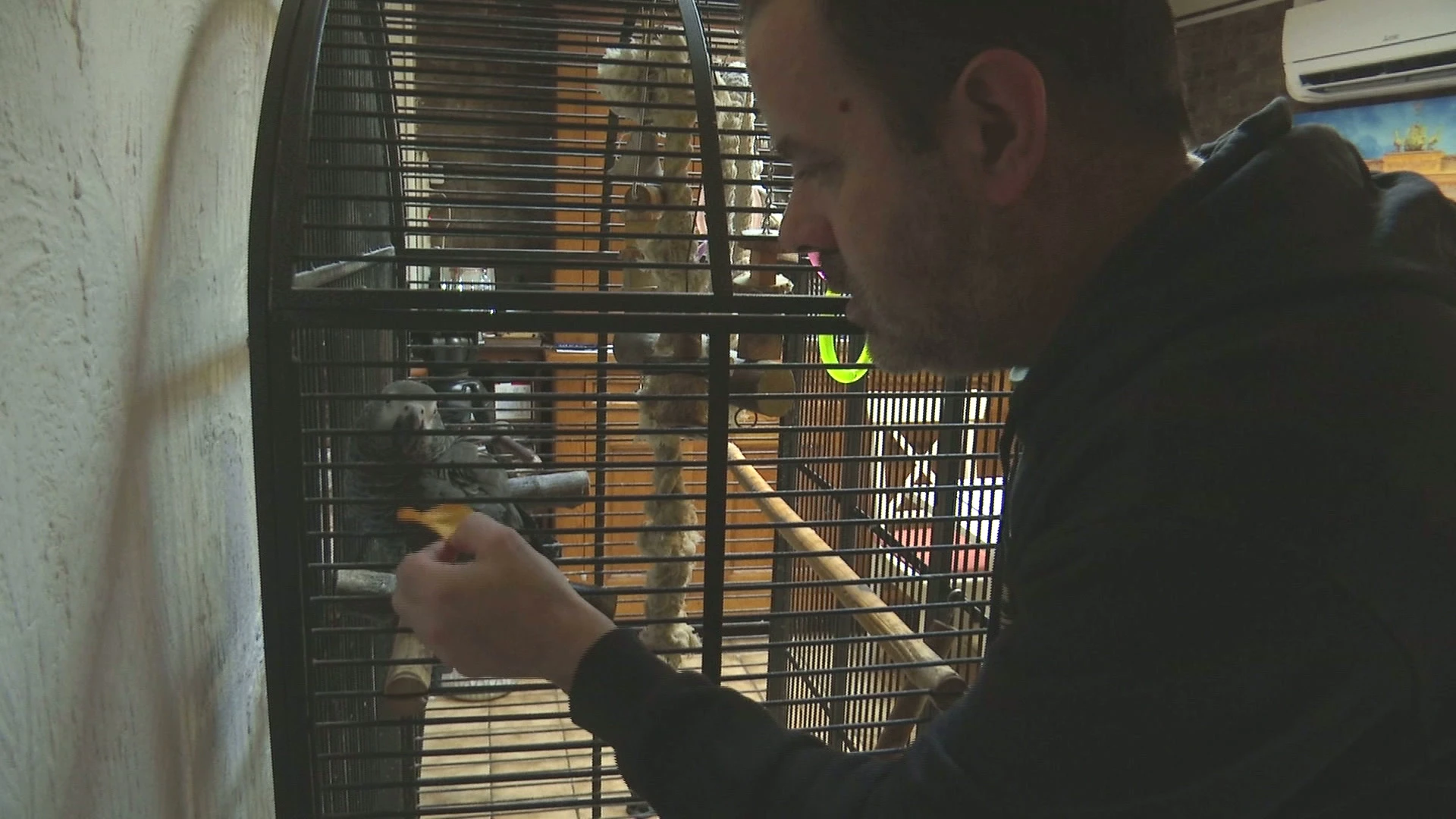 Hoofdafbeelding voor artikel Oproep om vrijstelling gordelplicht…