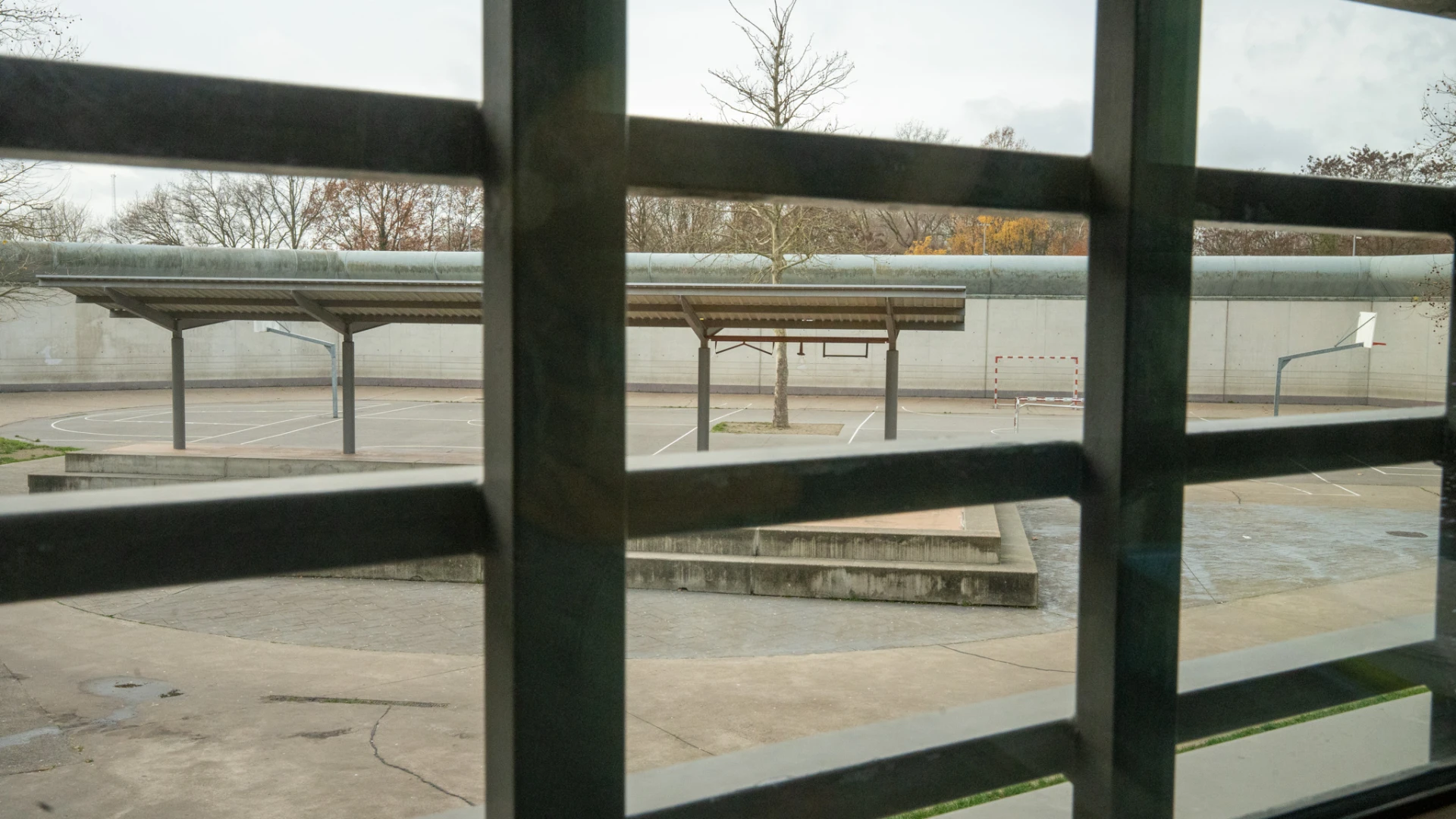 Hoofdafbeelding voor artikel Vijftig snelbouwcellen moeten…