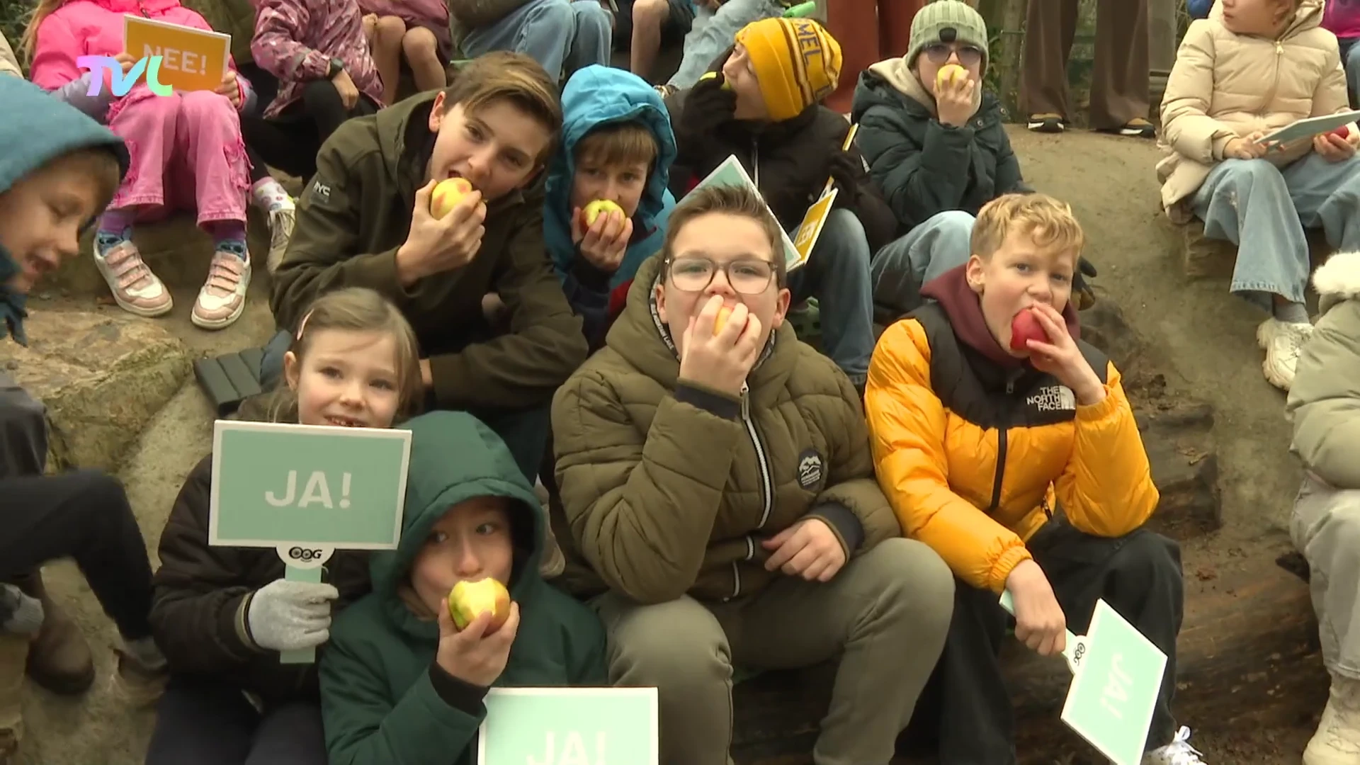 Hoofdafbeelding voor artikel Gratis fruit voor Truiense…