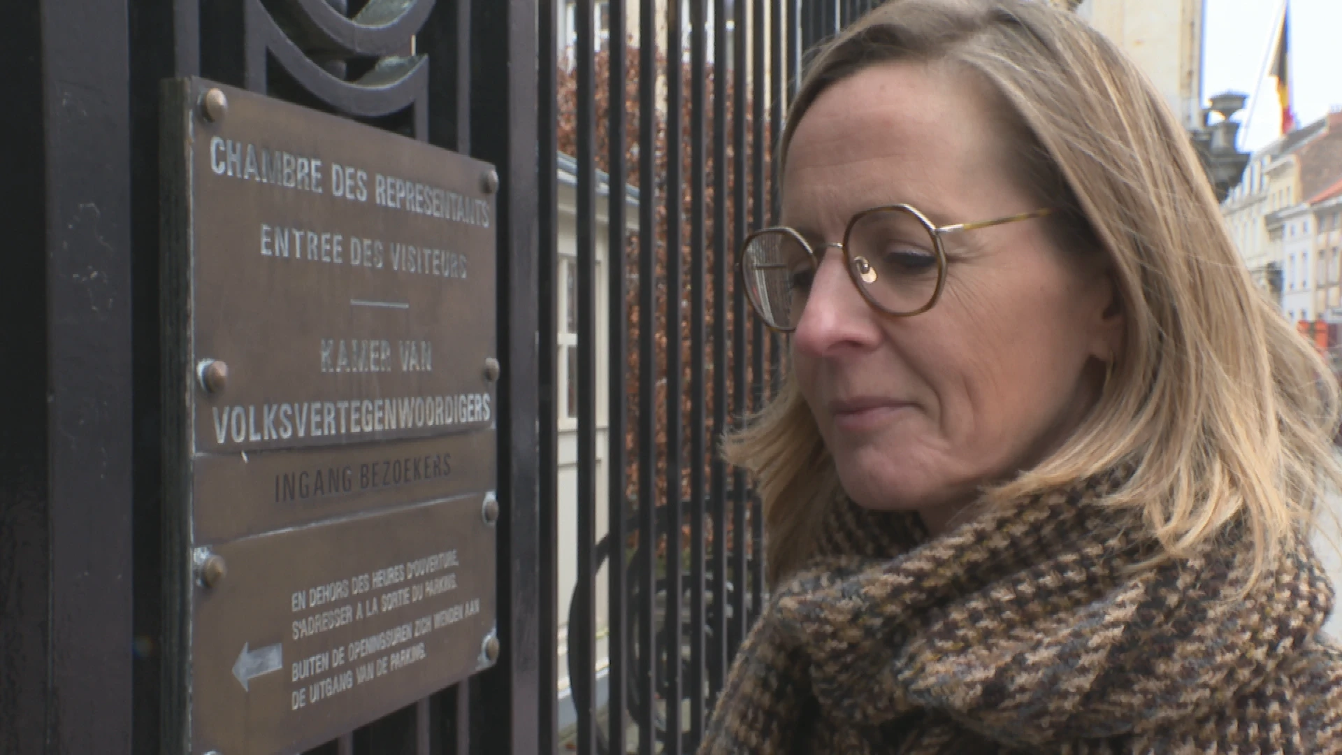 Hoofdafbeelding voor artikel Frieda Gijbels (N-VA): "Verplichte…