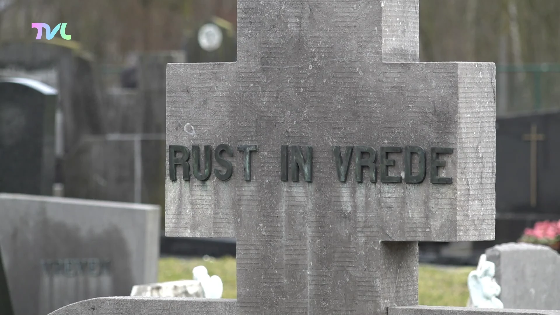 Hoofdafbeelding voor artikel Steeds meer Limburgers willen…